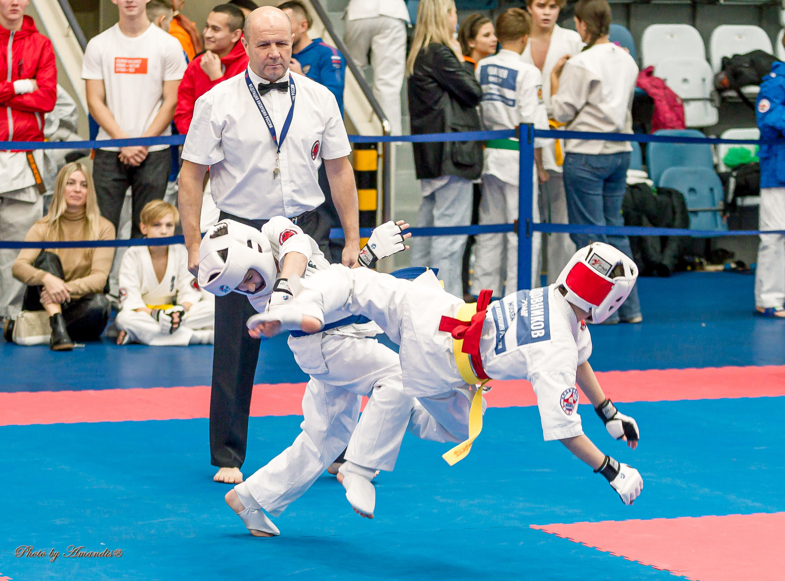 Чемпионат по Киокушинкай Центрального Федерального округа. Репортажная съемка в Москве и области. Анималистика