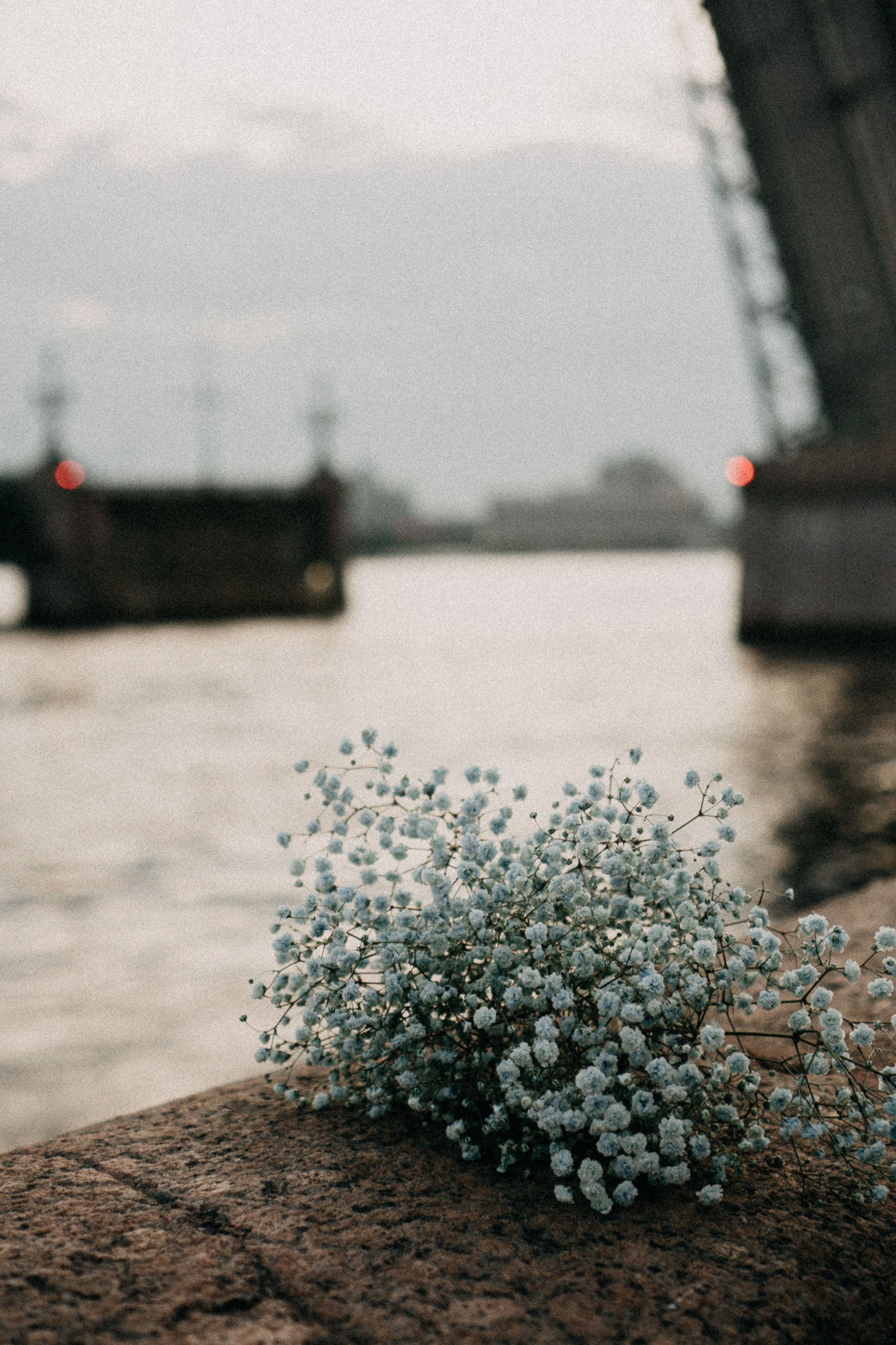 Рассветная. Профессиональный фотограф, Санкт-Петербург — Виктория Богомолова