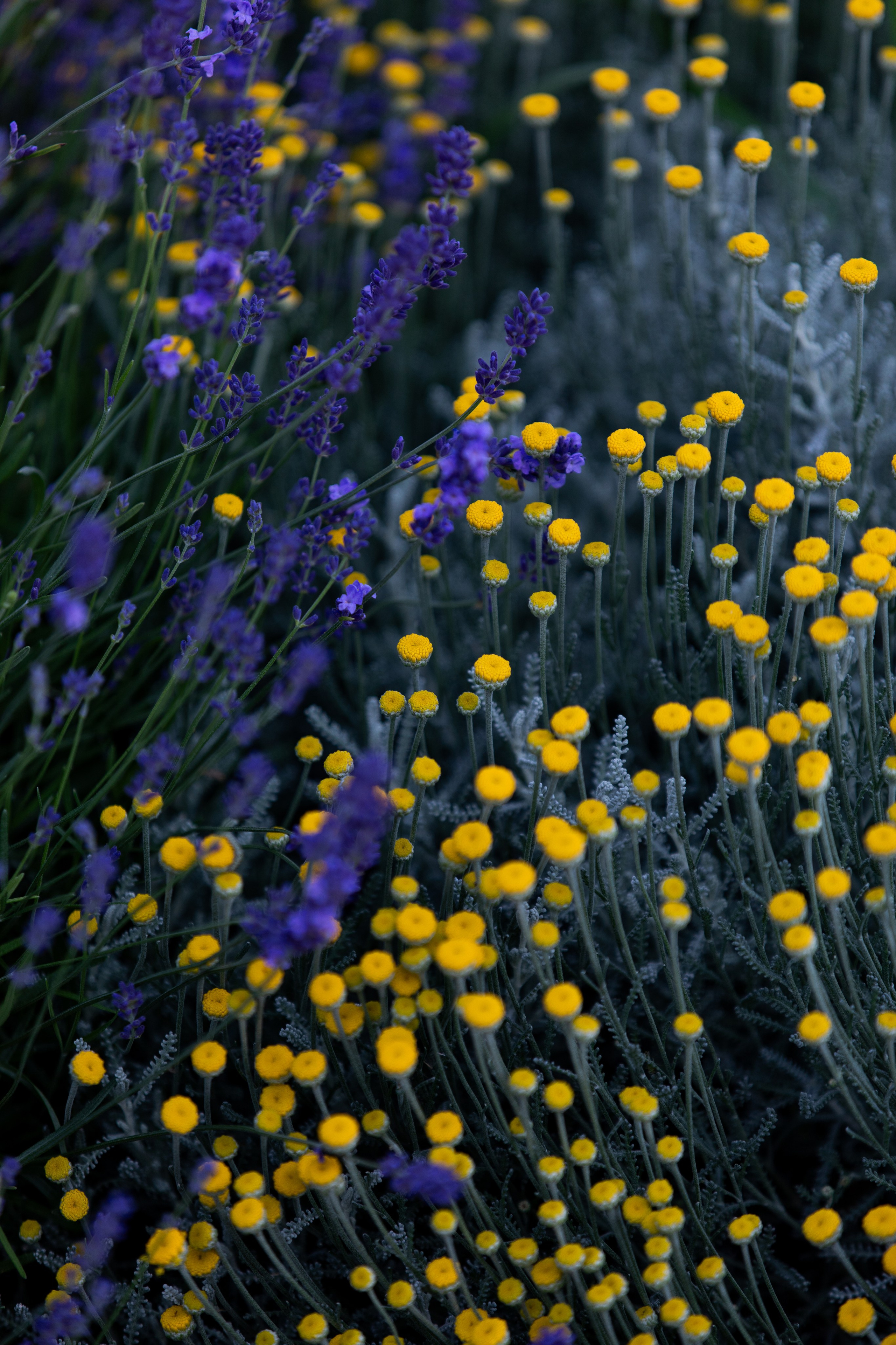 D&X. Фотограф Таганрог Хребет София