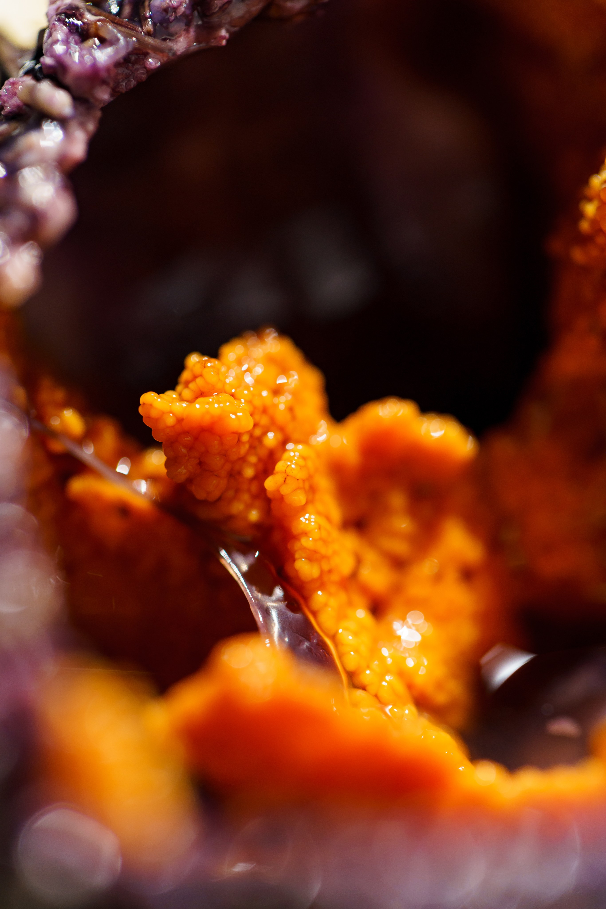 Ресторан «Murmansk». Контент фотограф в Москве Александр Хитько