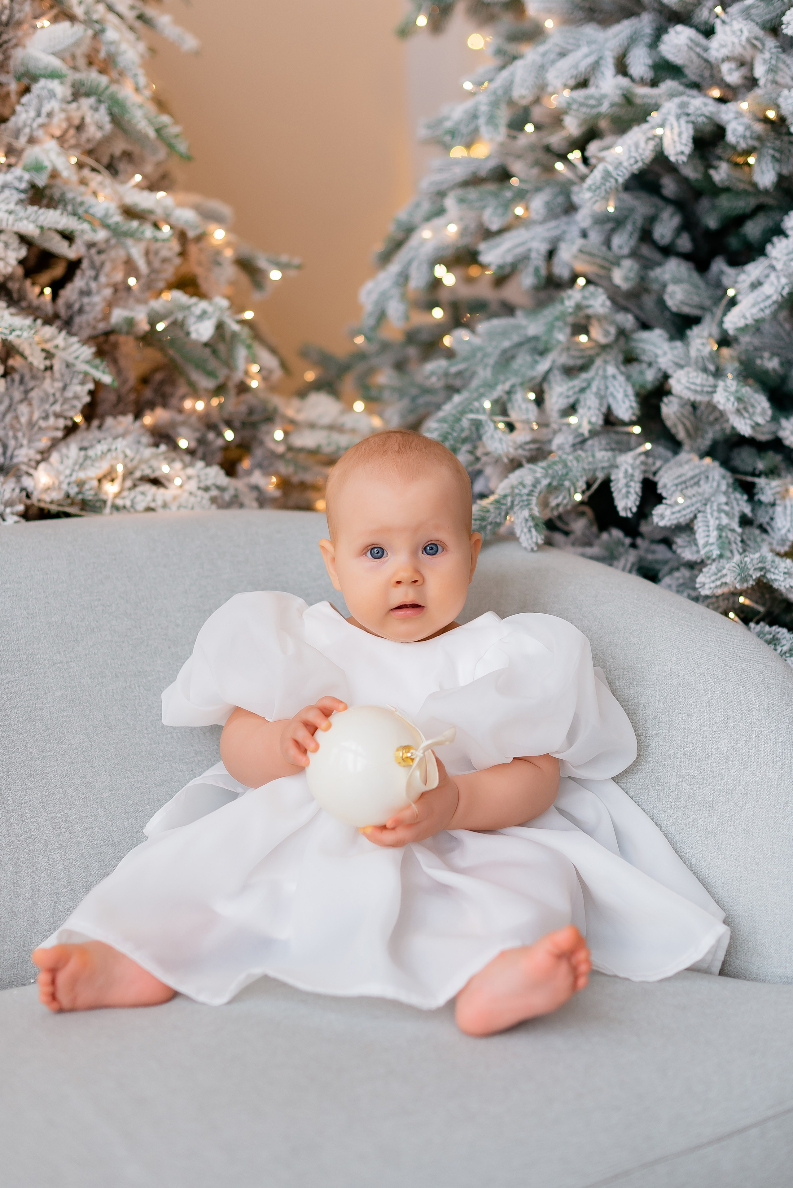 Новогодняя студия Скандибек. Фотограф Татьяна Иванчикова
