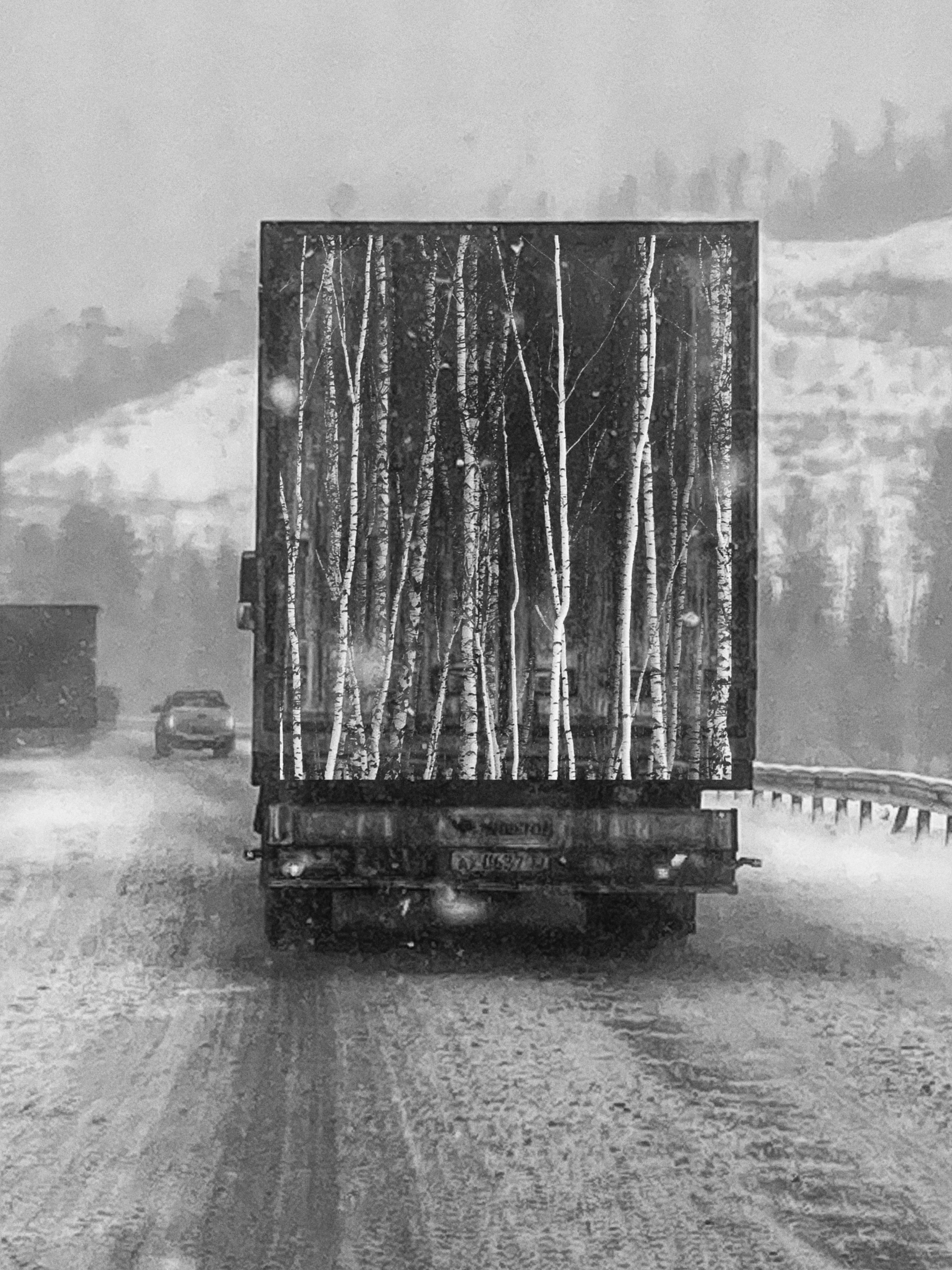 2025 год. Тащилин Сергей. Фотографии. Жизнь. Хобби