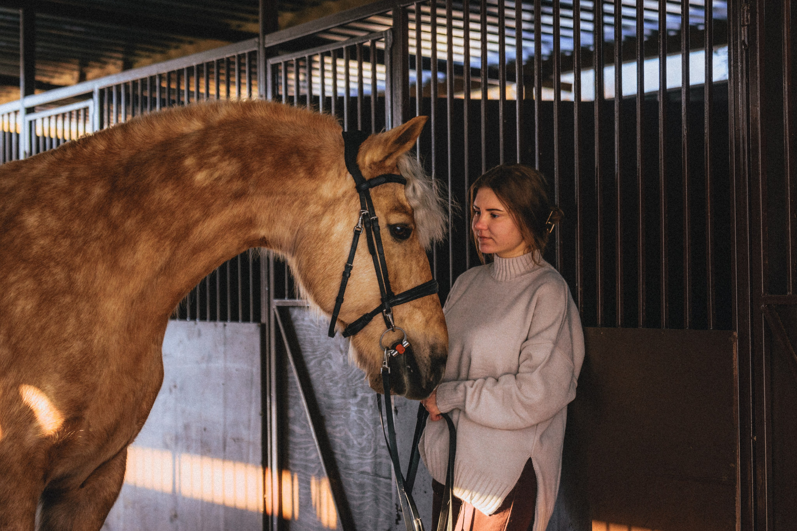 Маша и Фрутти. MariaGohri — Конный фотограф, анималист, Рязань