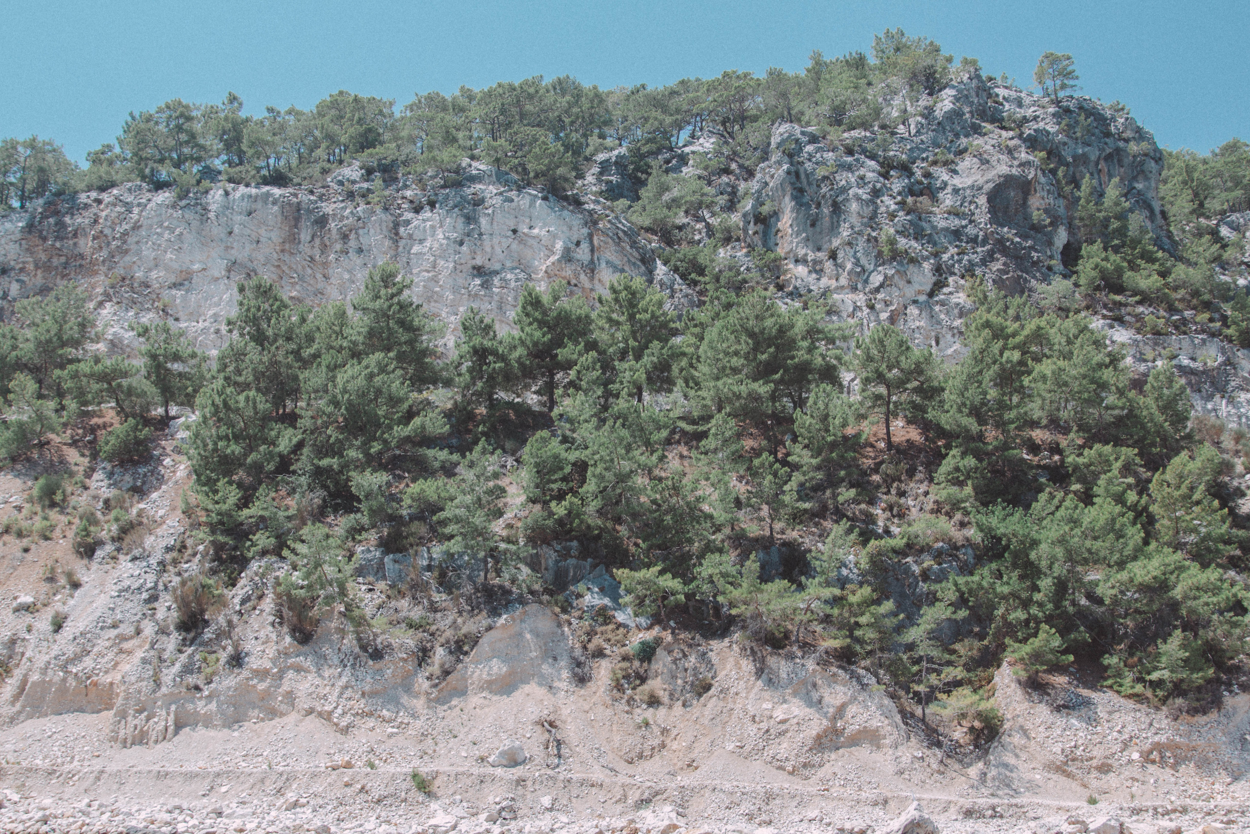 Корпоратив компании QIWI. Фотограф Шагалов Михаил