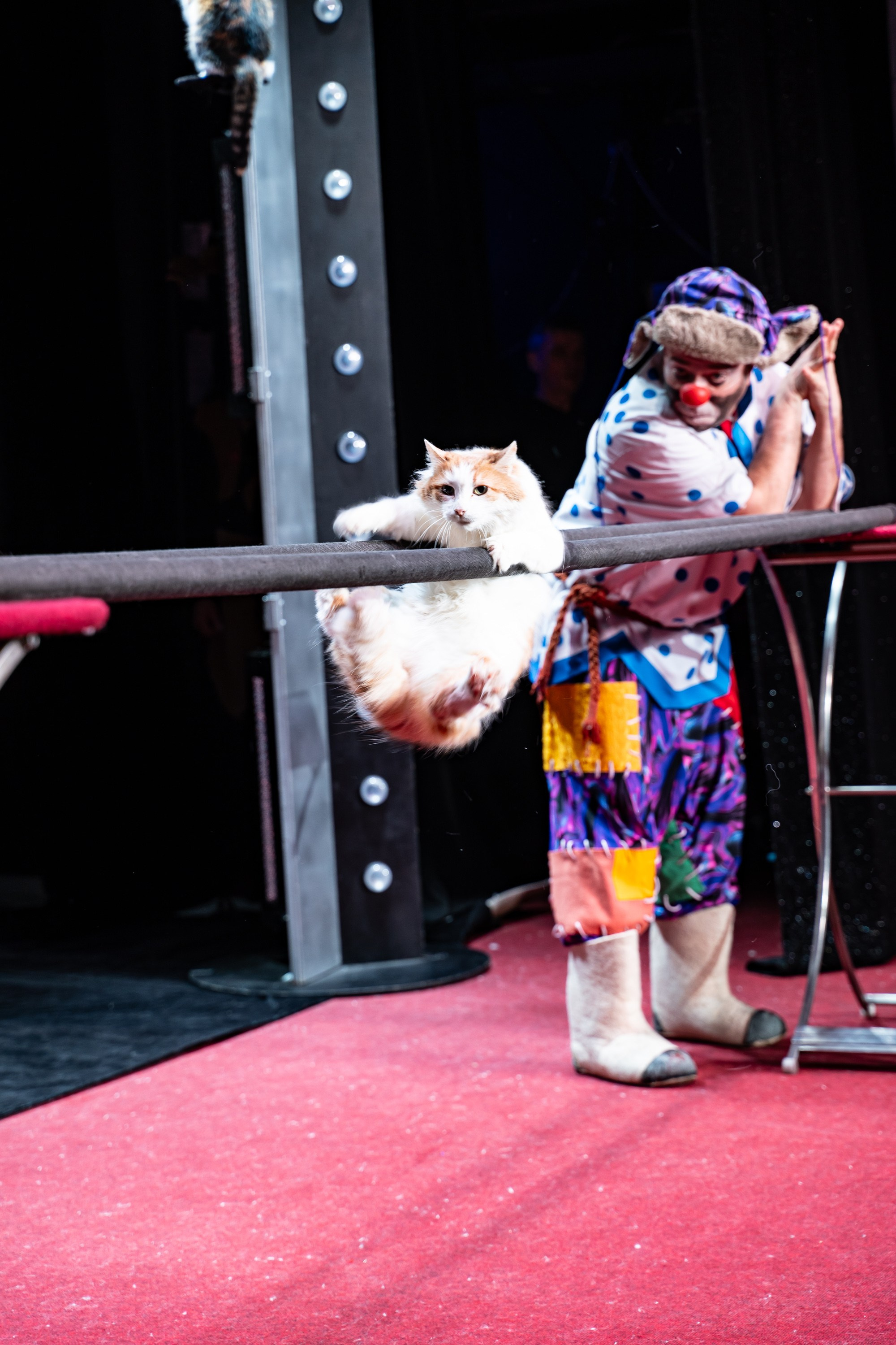 Театр Куклачева и его закулисье. Разноплановый фотограф в Москве