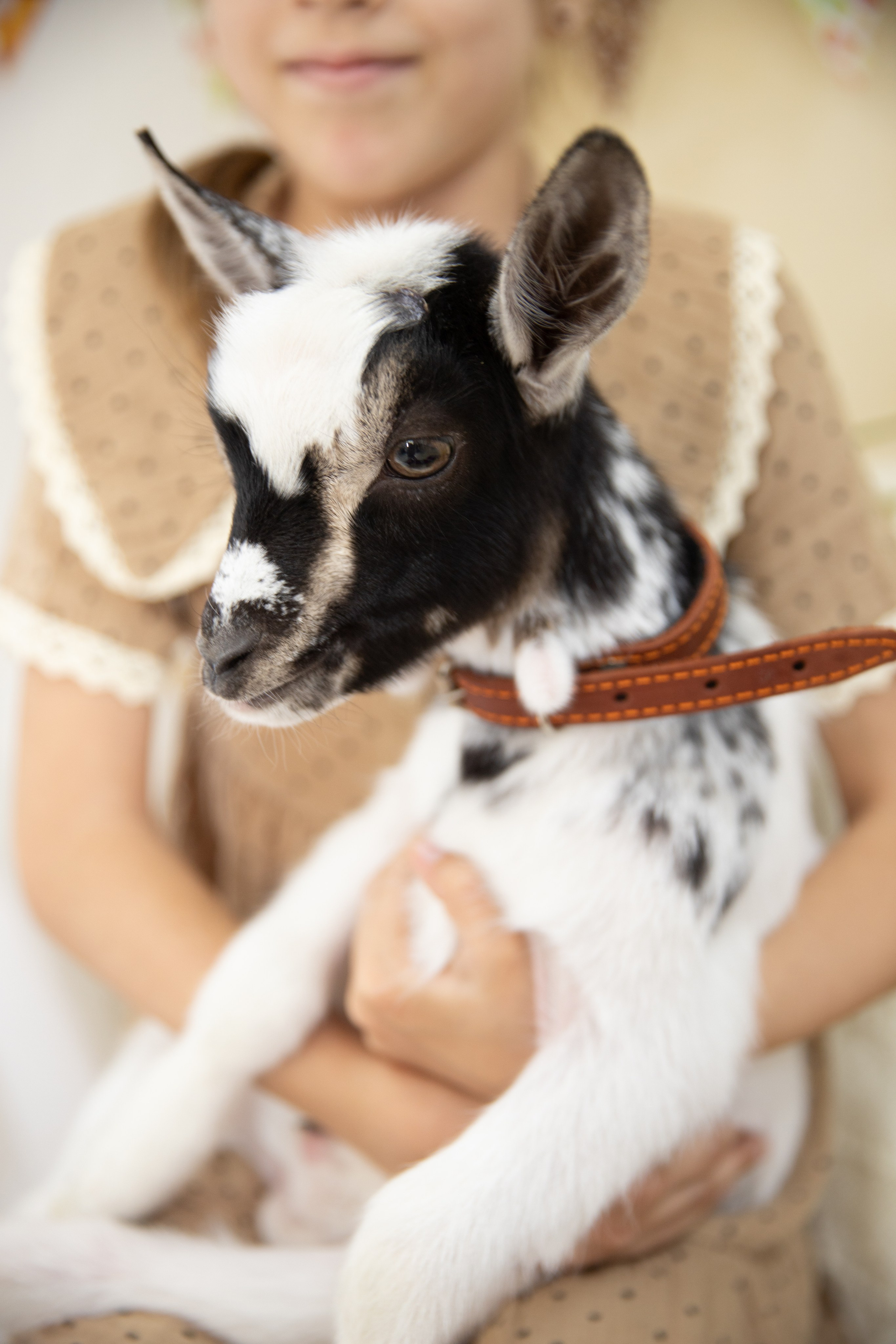 Осень Тыквы. Лучший фотограф Краснодара (по версии моей мамы)