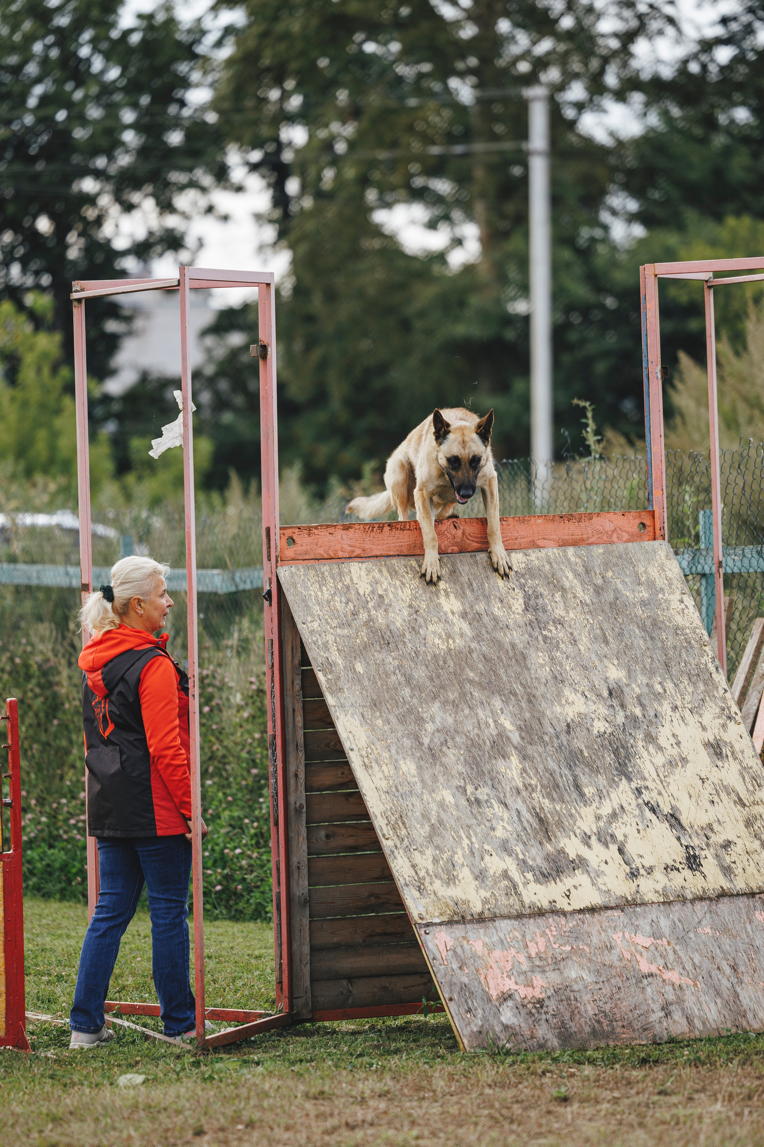 08.08.25-10.08.25 ЧР по мондьорингу г. Вологда. Фотограф-анималист Анна Маринич