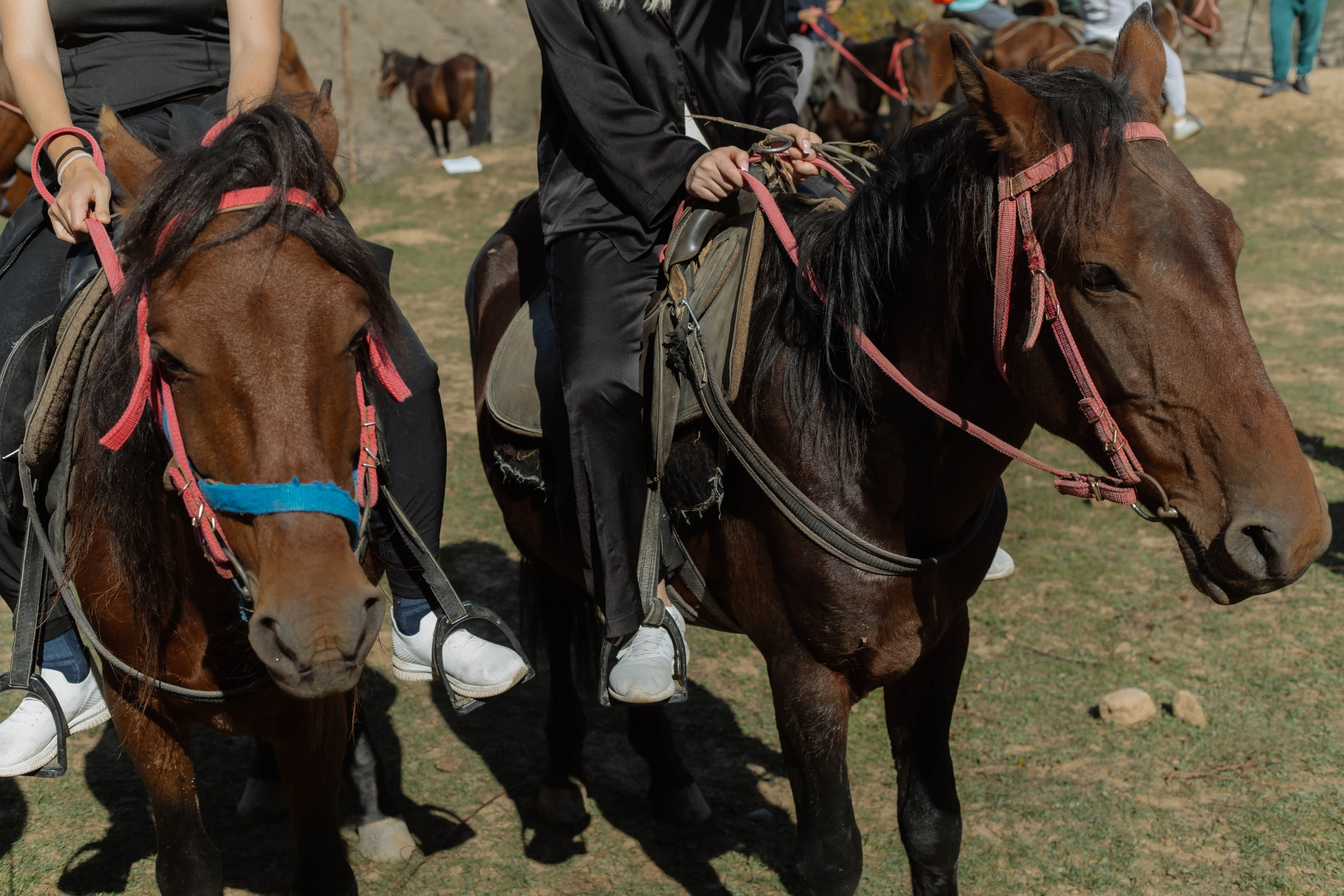 Travel. Фото, видео и контент съемки в Москве
