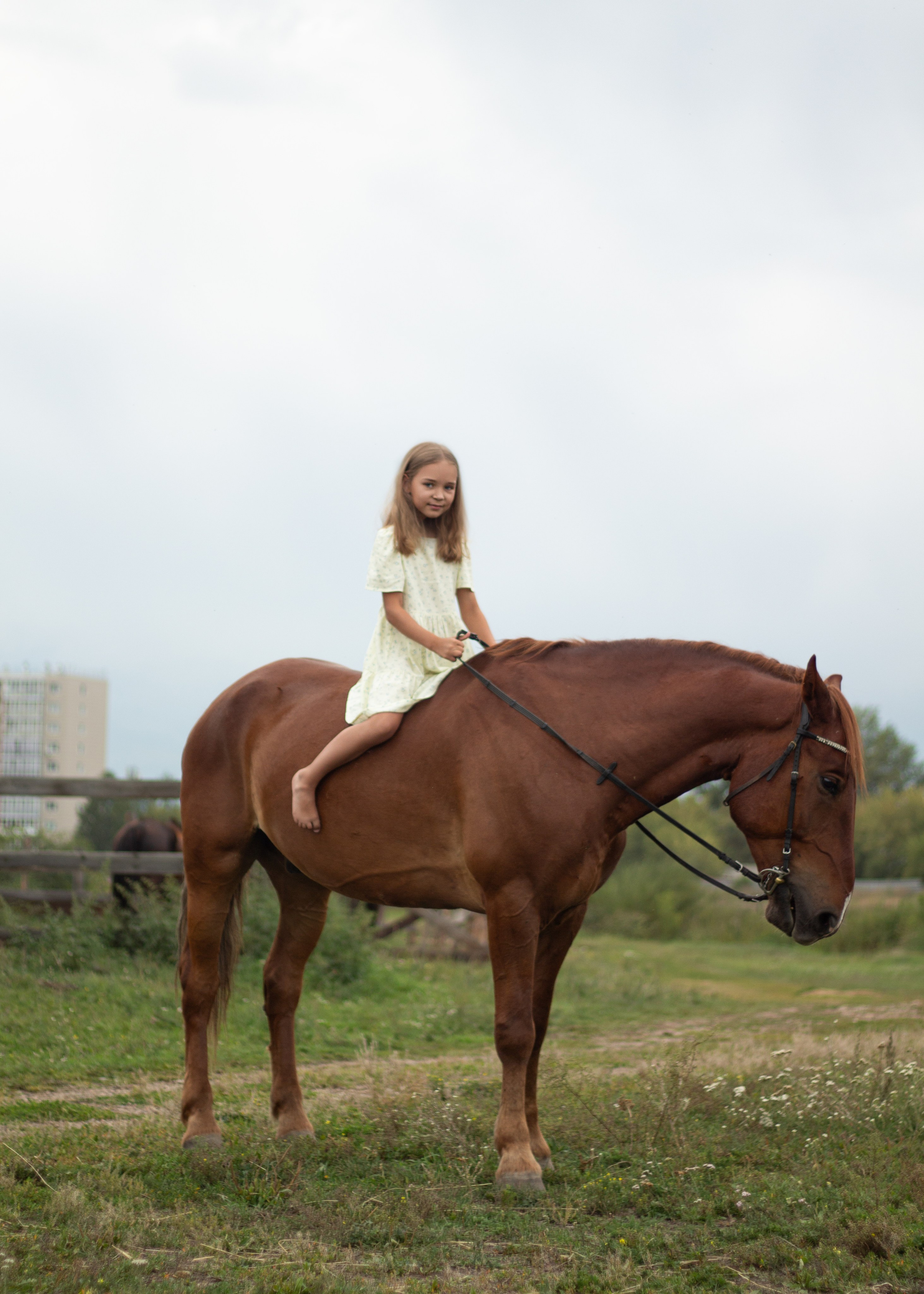Екатерина и Янтарь. Фотограф в Иркутске, Харитонова Елизавета