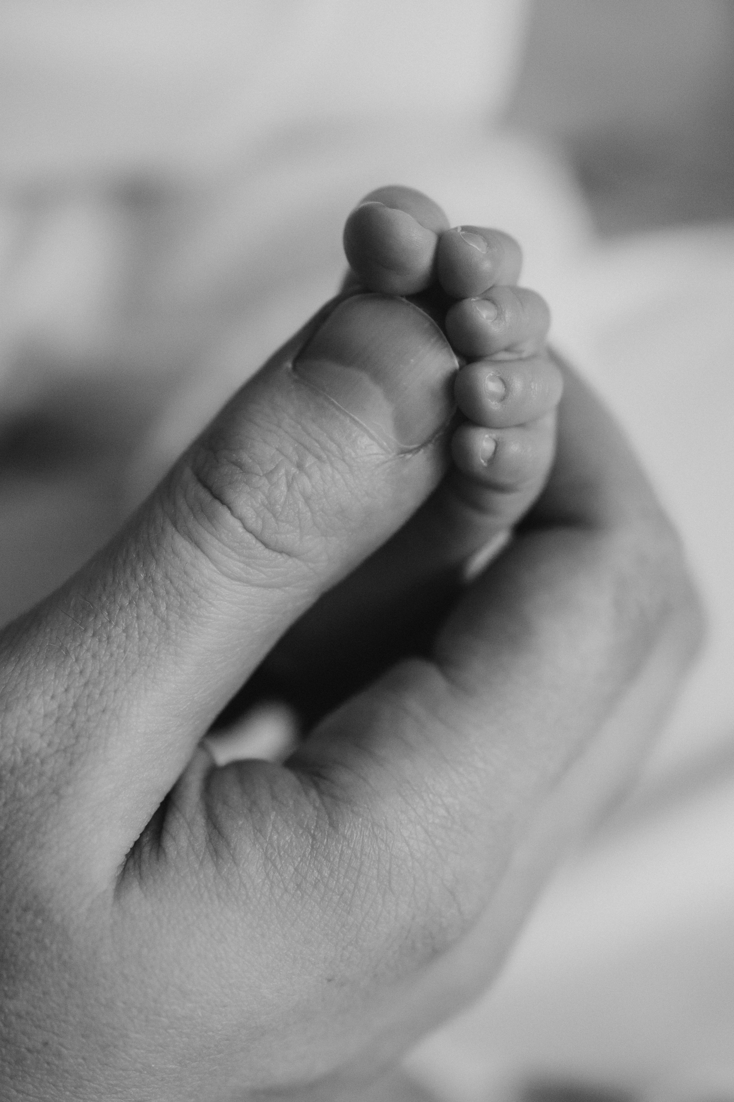 Сашеньке 2 недели. Семейный и детский фотограф, женский портрет Москва Светлана Мертикова