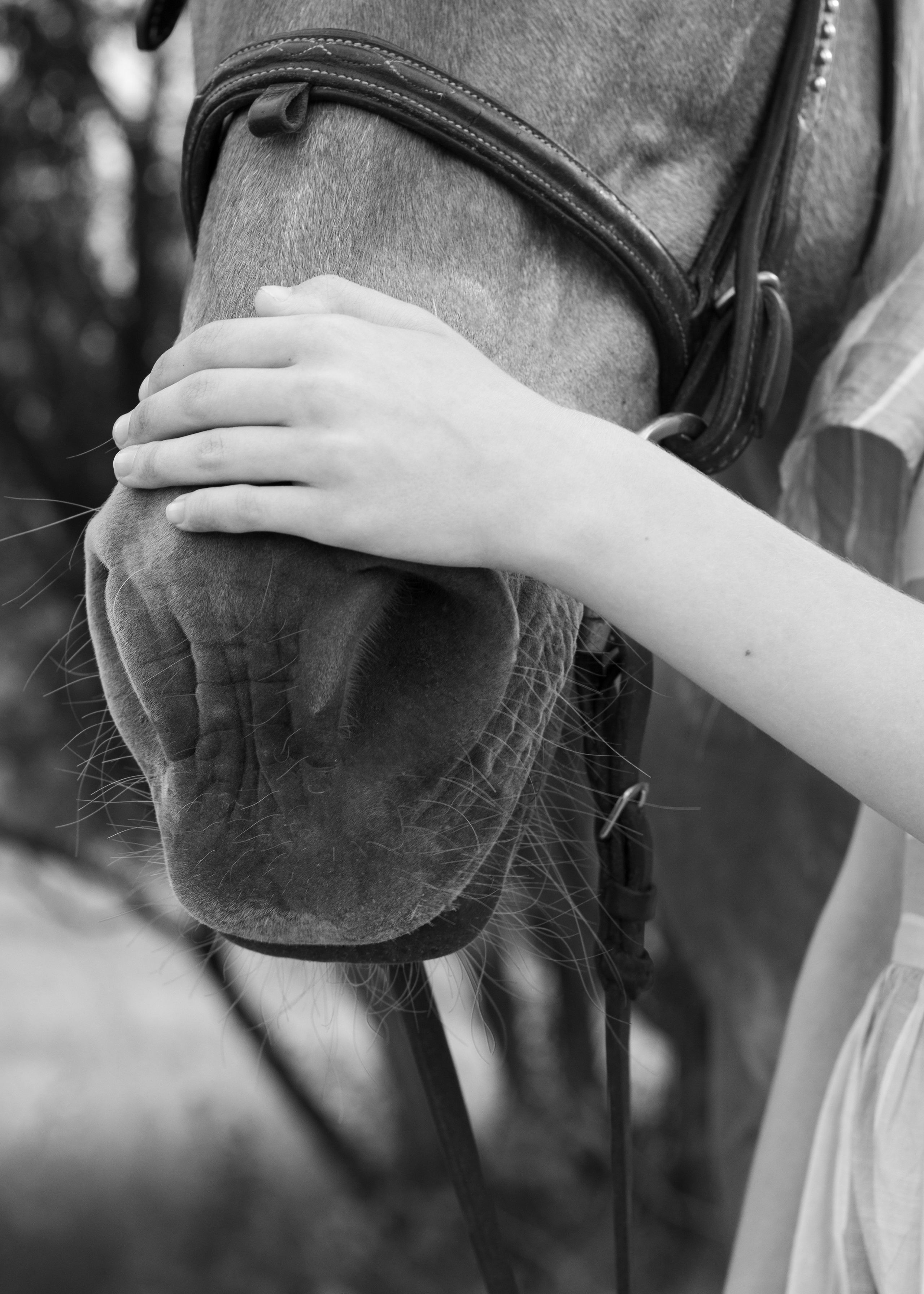 Анастасия и Гюнай. Фотограф в Иркутске, Харитонова Елизавета
