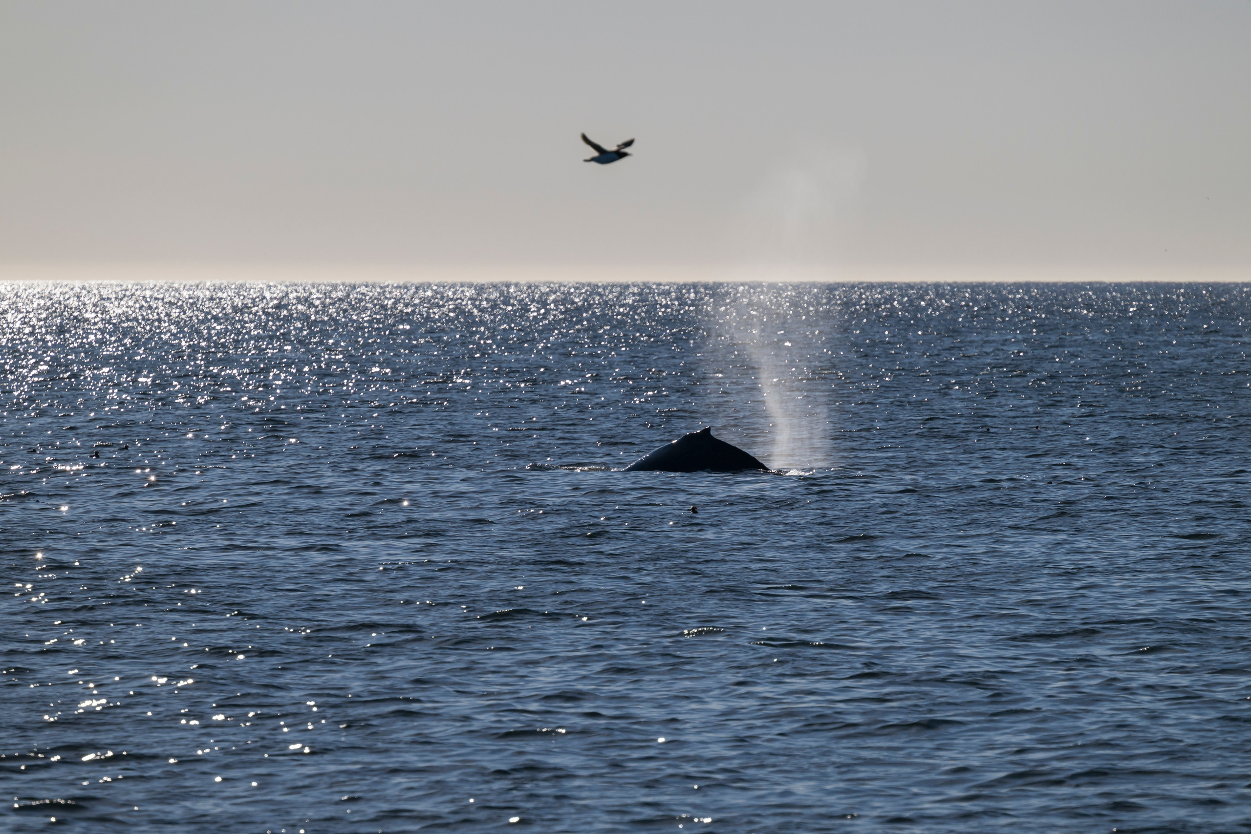 Камчатка. Портретный фотограф в Челябинске Катерина Руди