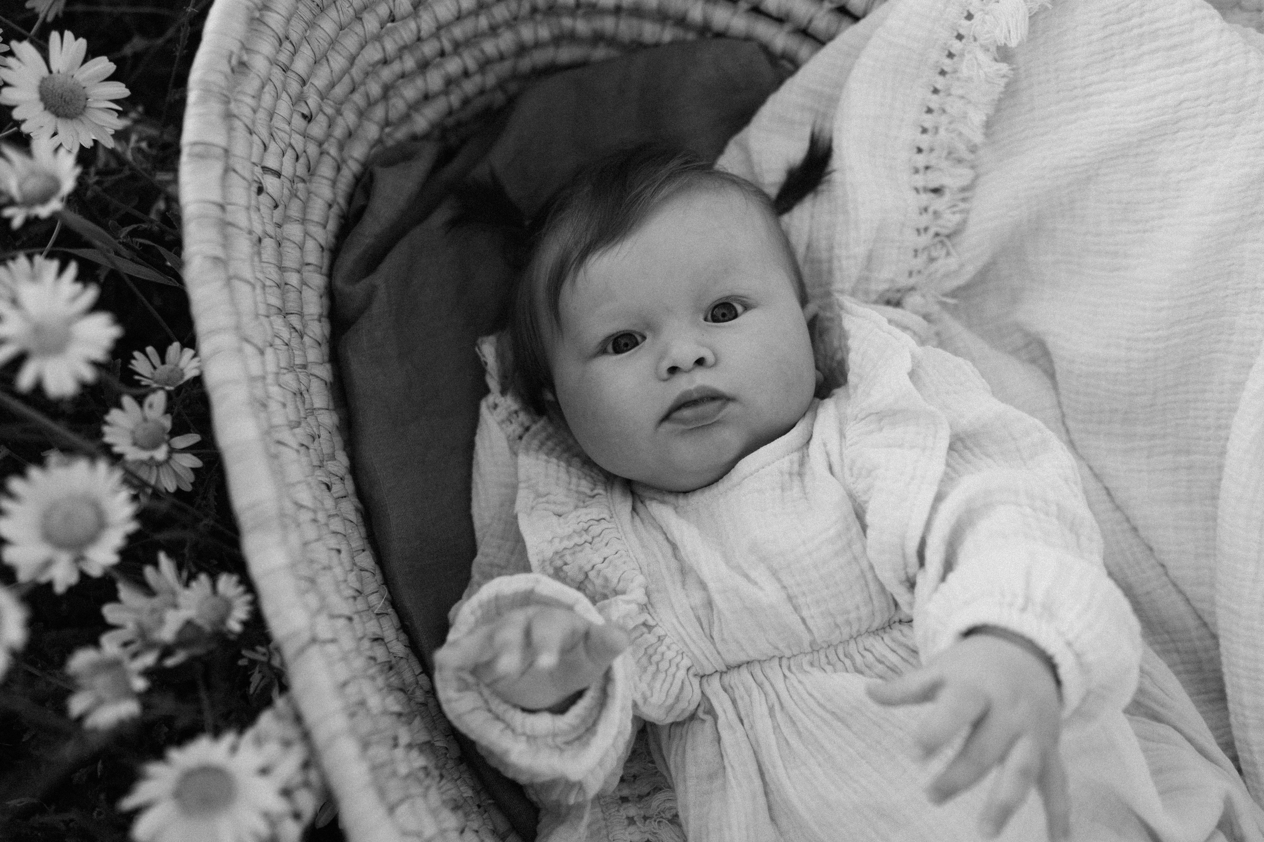 Любовь в ромашковом поле. Семейный и свадебный фотограф в Красногорске Анастасия Тихонова