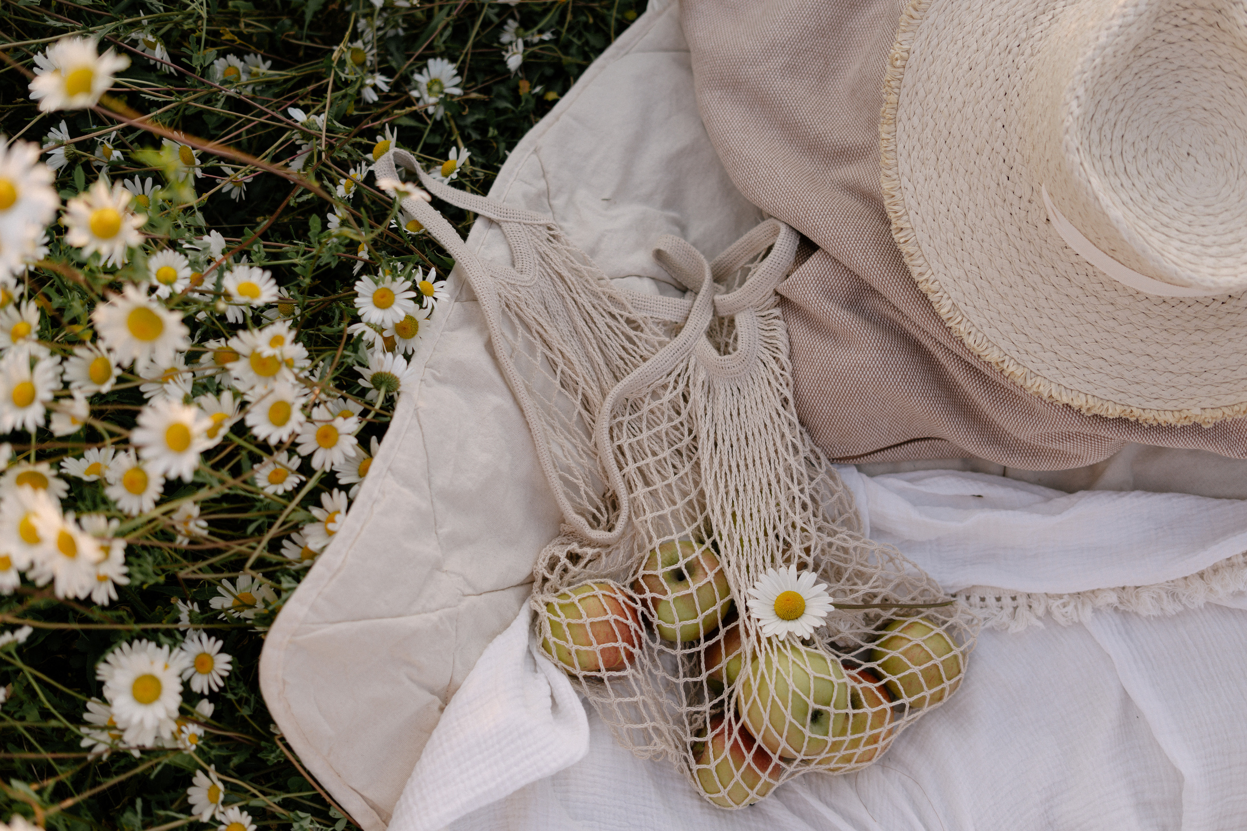 Любовь в ромашковом поле. Семейный и свадебный фотограф в Красногорске Анастасия Тихонова