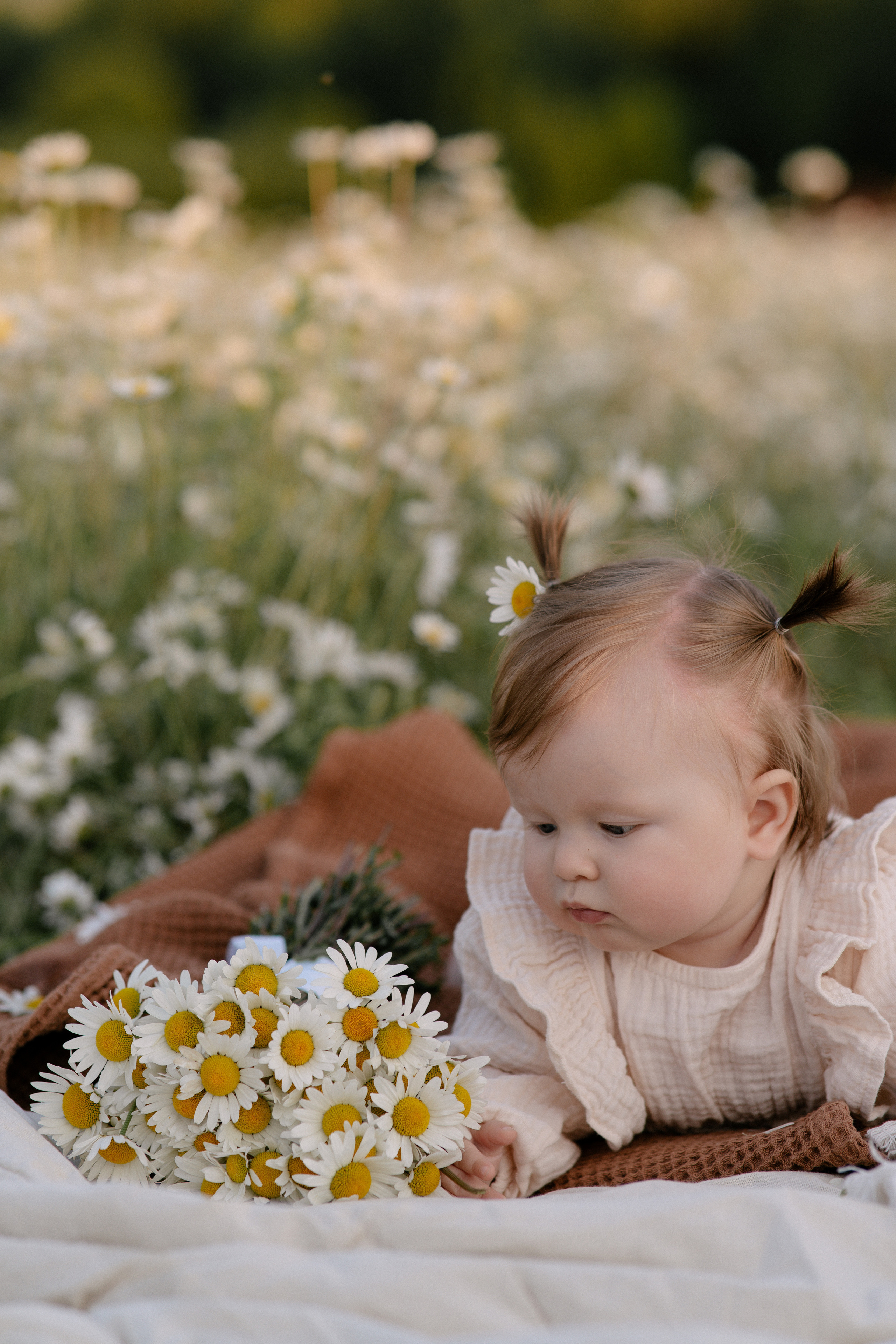 Любовь в ромашковом поле. Семейный и свадебный фотограф в Красногорске Анастасия Тихонова
