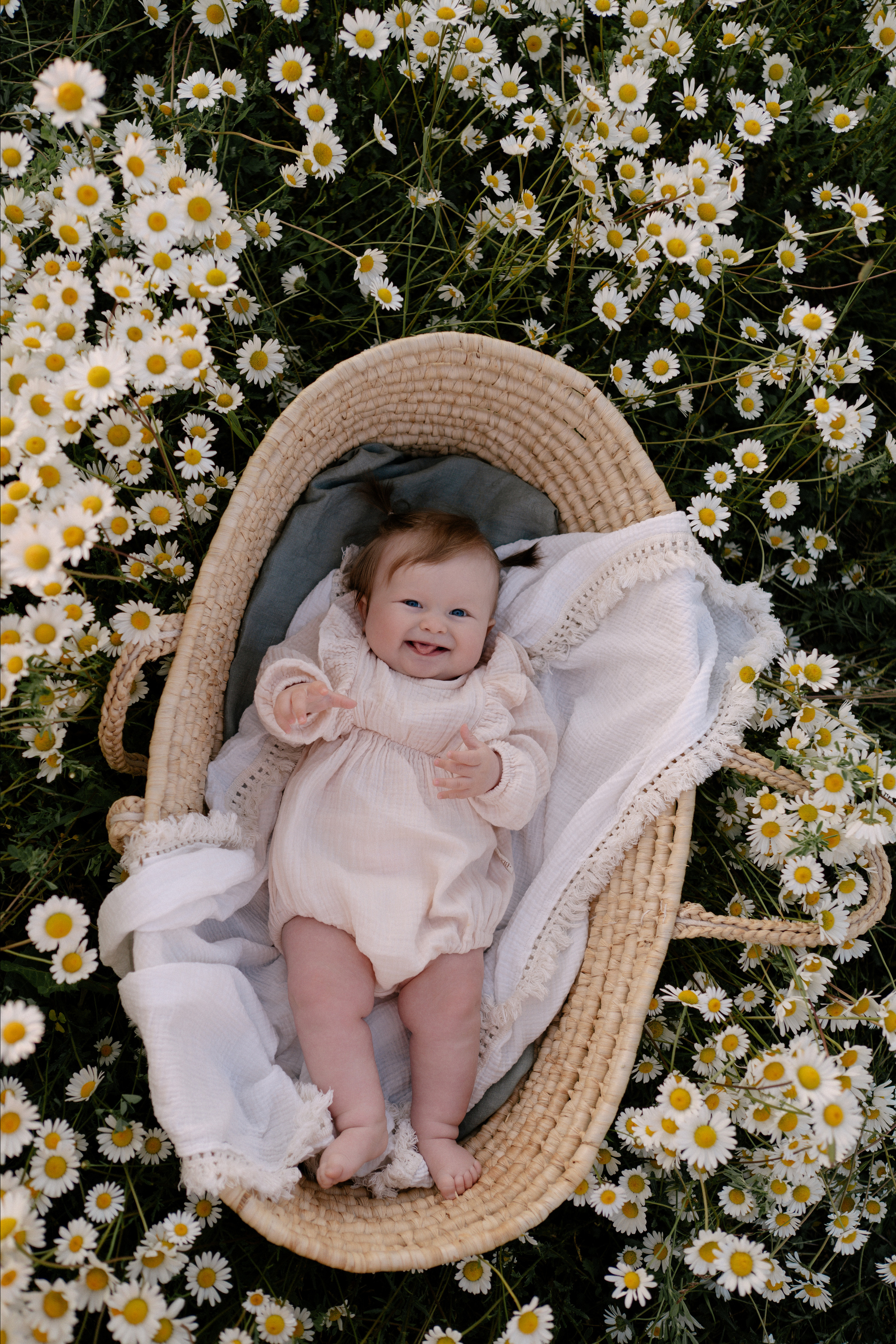 Любовь в ромашковом поле. Семейный и свадебный фотограф в Красногорске Анастасия Тихонова