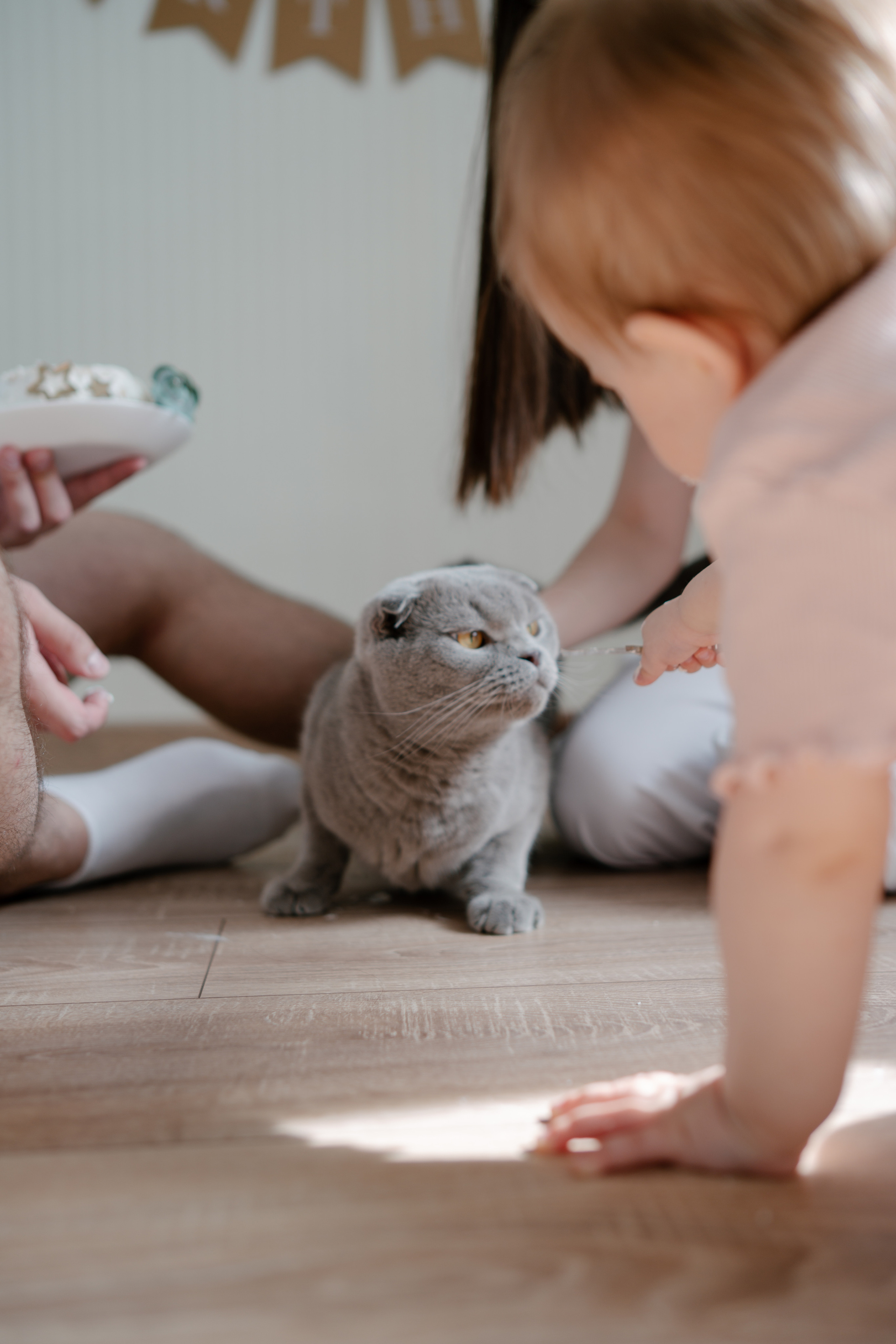 Полине годик. Семейный и свадебный фотограф в Красногорске Анастасия Тихонова