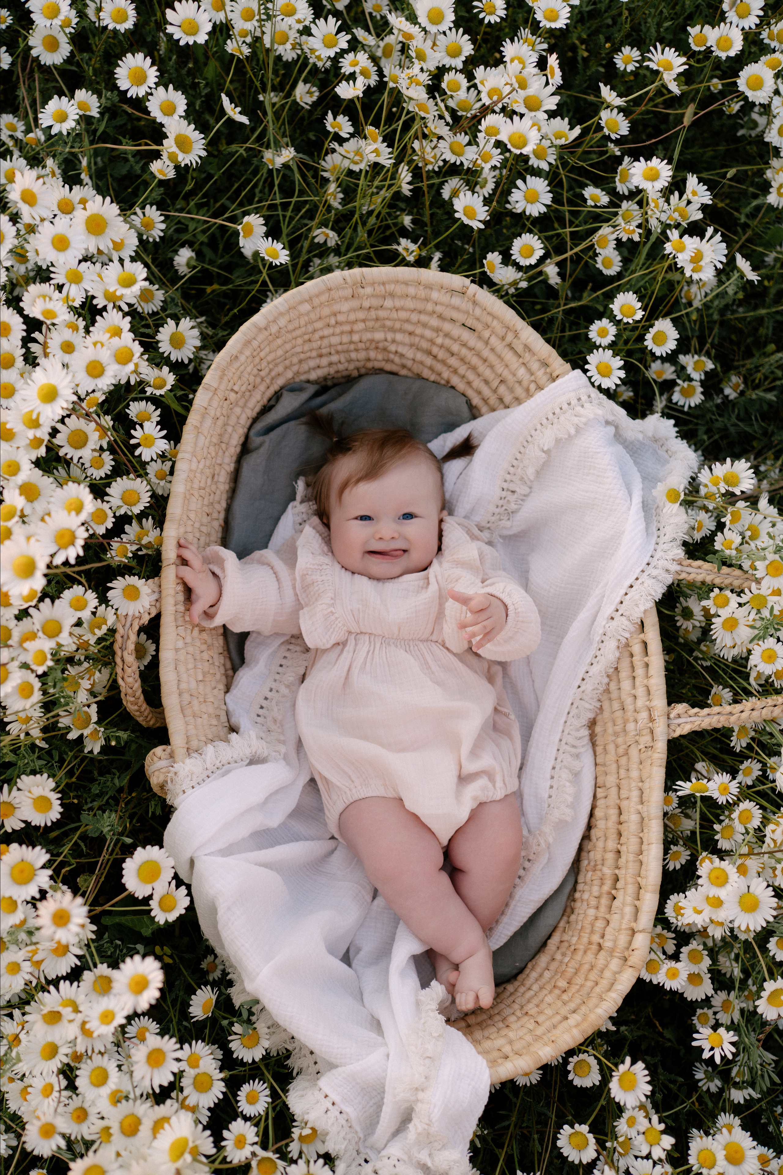 Любовь в ромашковом поле. Семейный и свадебный фотограф в Красногорске Анастасия Тихонова