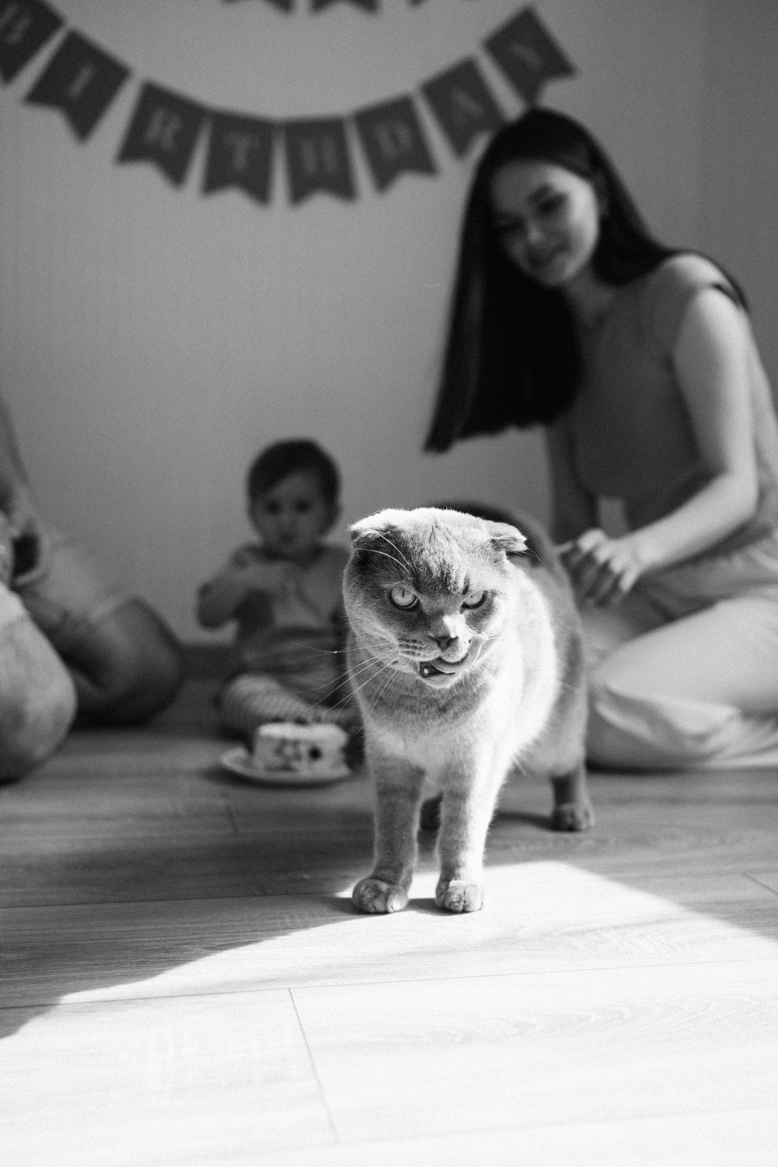 Полине годик. Семейный и свадебный фотограф в Красногорске Анастасия Тихонова