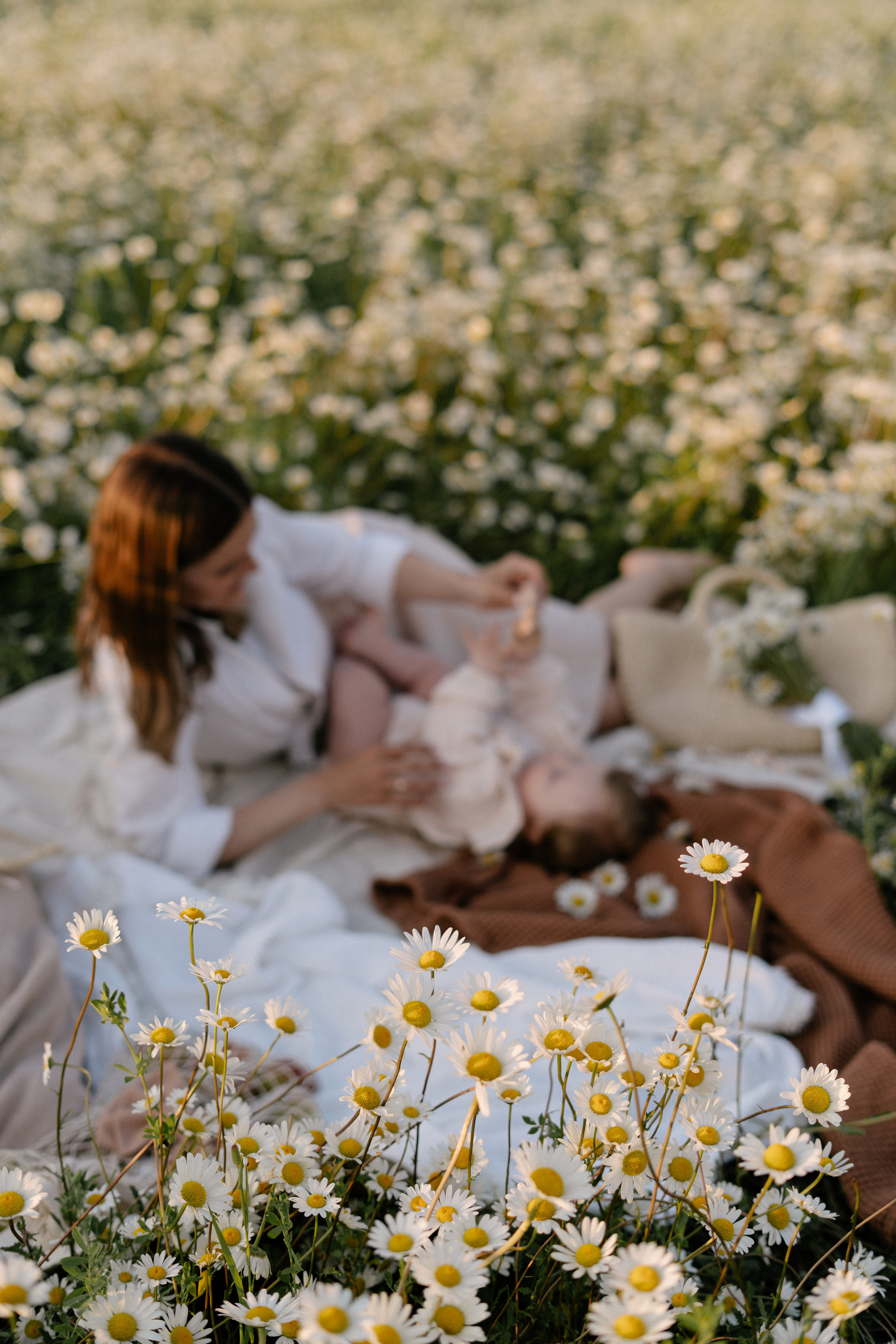 Любовь в ромашковом поле. Семейный и свадебный фотограф в Красногорске Анастасия Тихонова