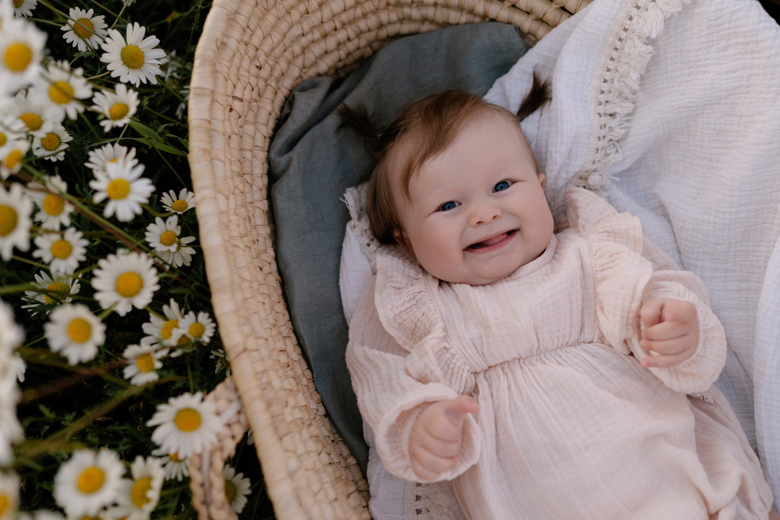 Любовь в ромашковом поле. Семейный и свадебный фотограф в Красногорске Анастасия Тихонова