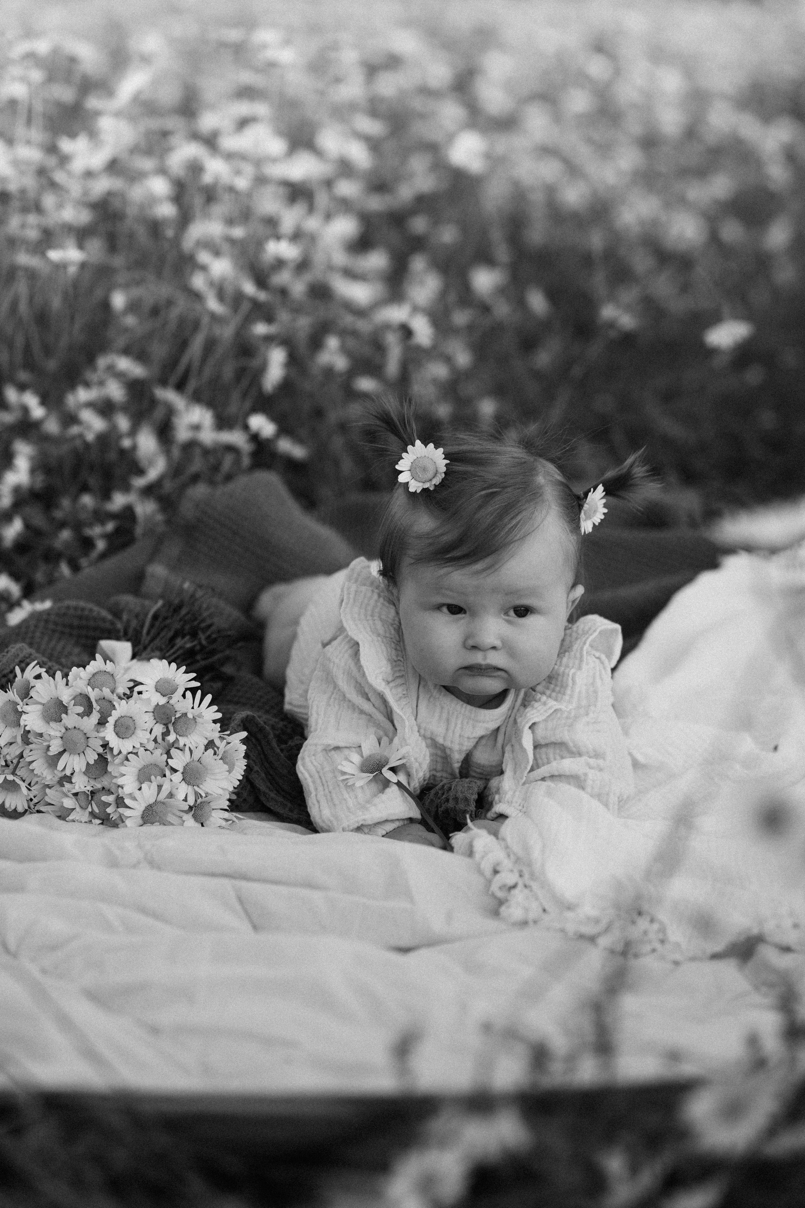 Любовь в ромашковом поле. Семейный и свадебный фотограф в Красногорске Анастасия Тихонова