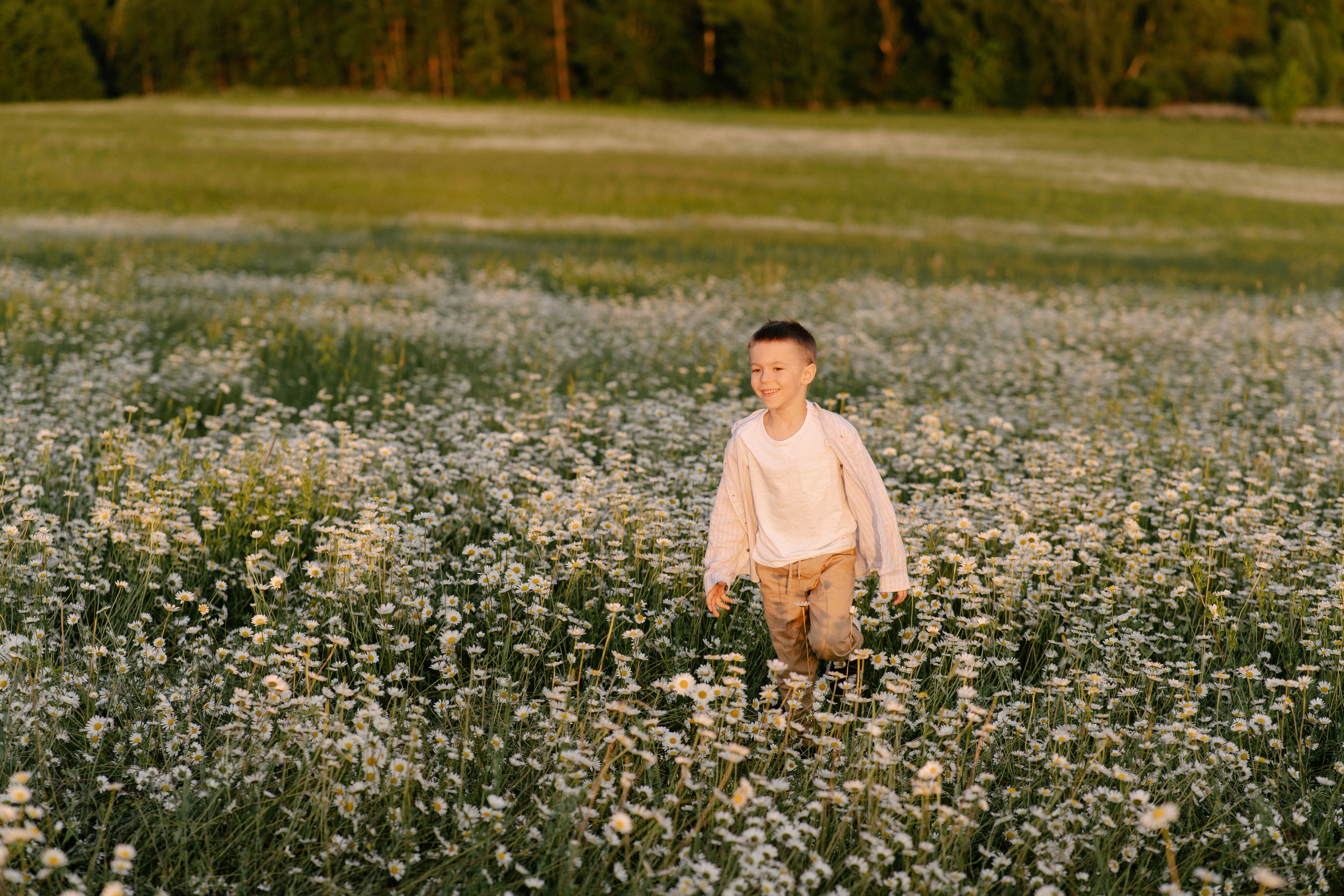 Любовь в ромашковом поле. Семейный и свадебный фотограф в Красногорске Анастасия Тихонова
