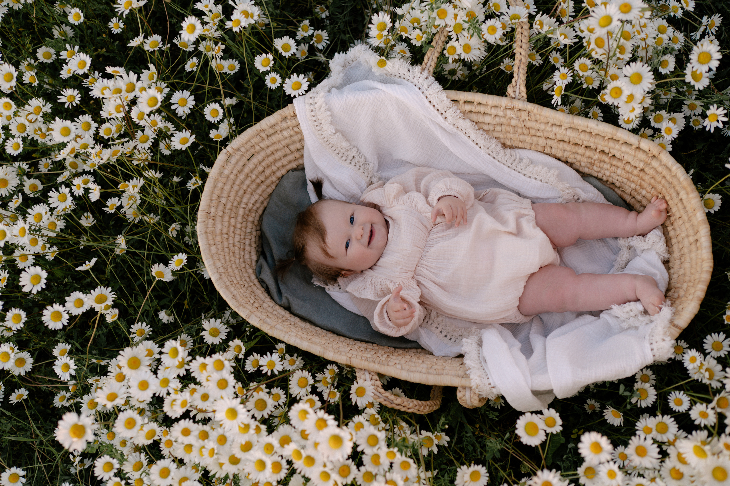 Любовь в ромашковом поле. Семейный и свадебный фотограф в Красногорске Анастасия Тихонова