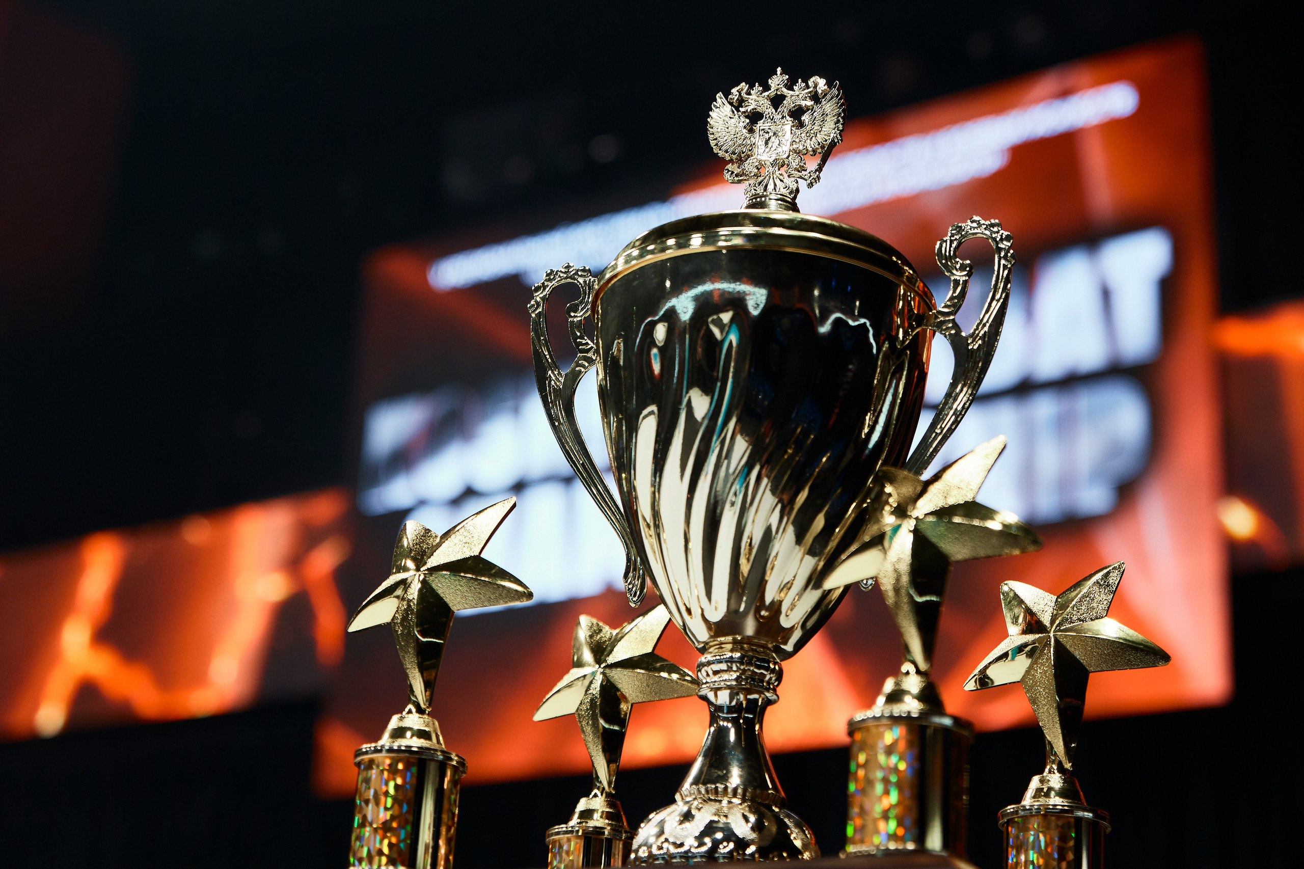 Кубок по Косики каратэ им. Николая Японского. Валитов Тимур | Репортажный фотограф