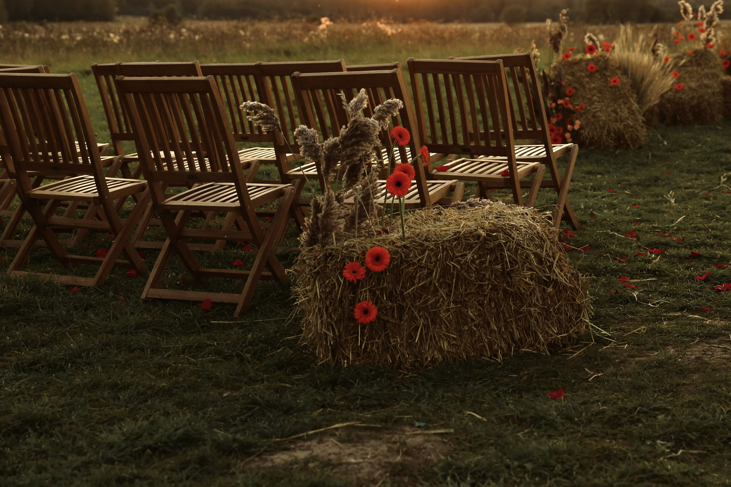 I & E. Anastasia Jes