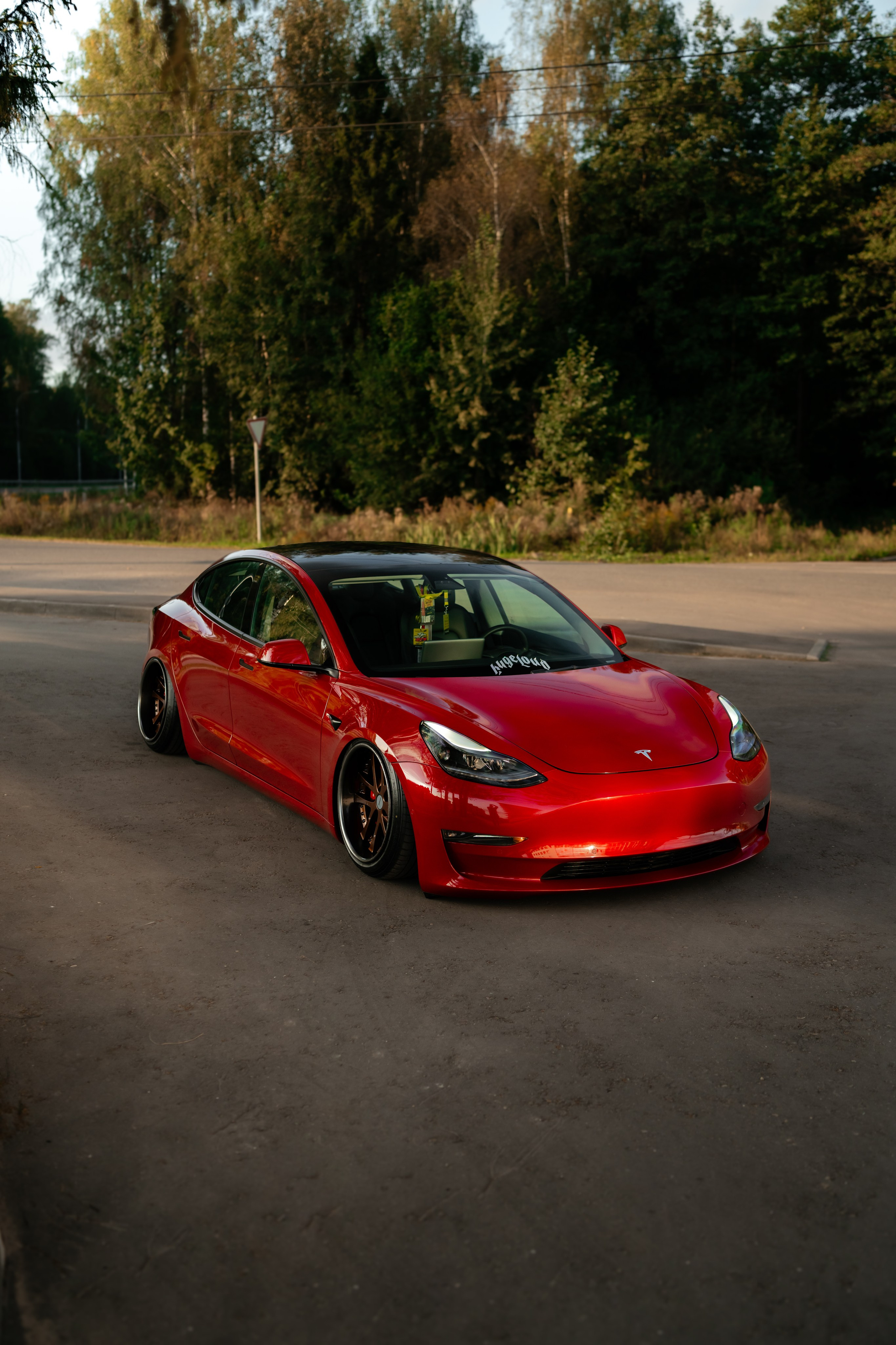 Tesla 3 Stance. Vlad Trykov