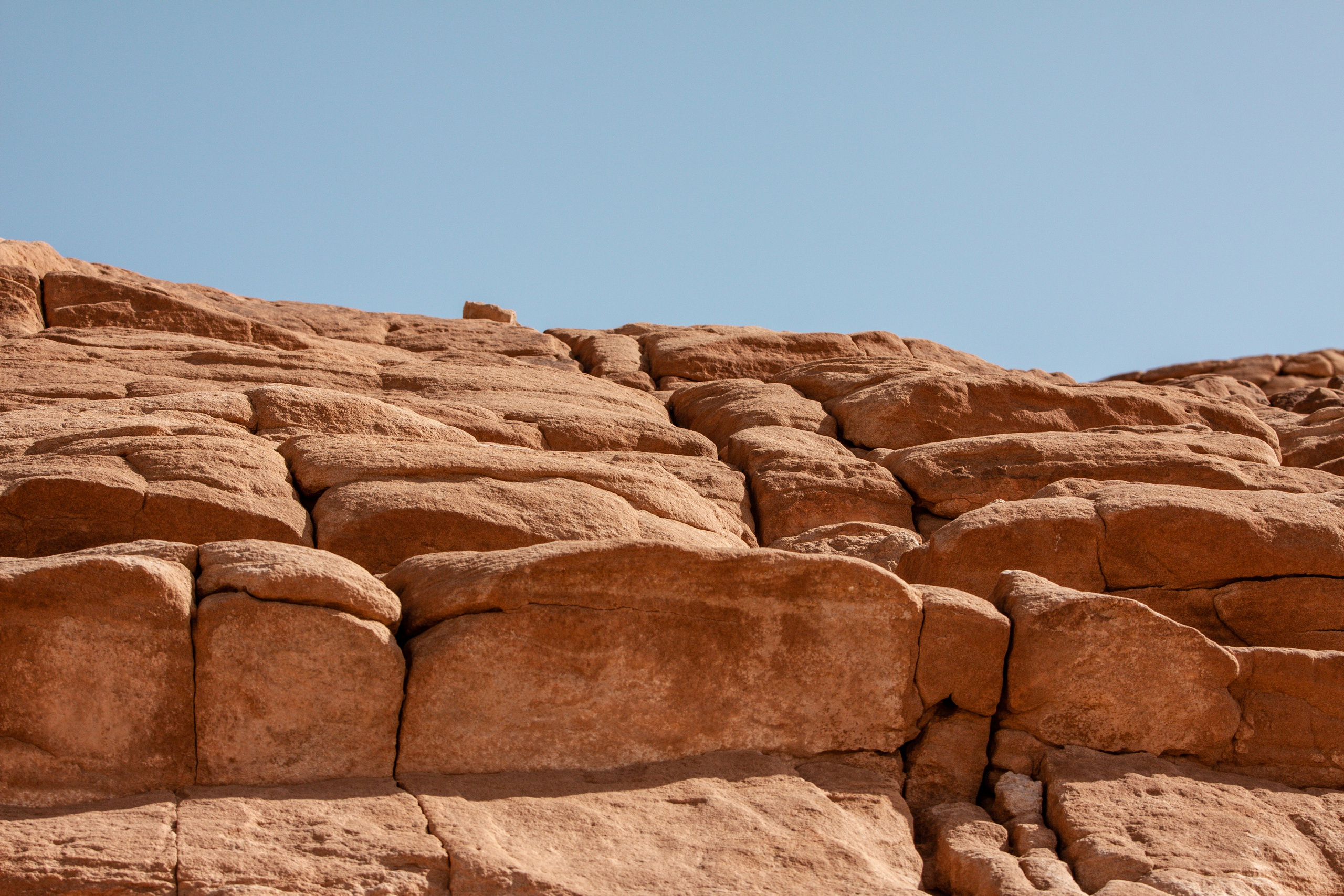 Дария Галямова — фотограф: открытый, творческий, коммерческий