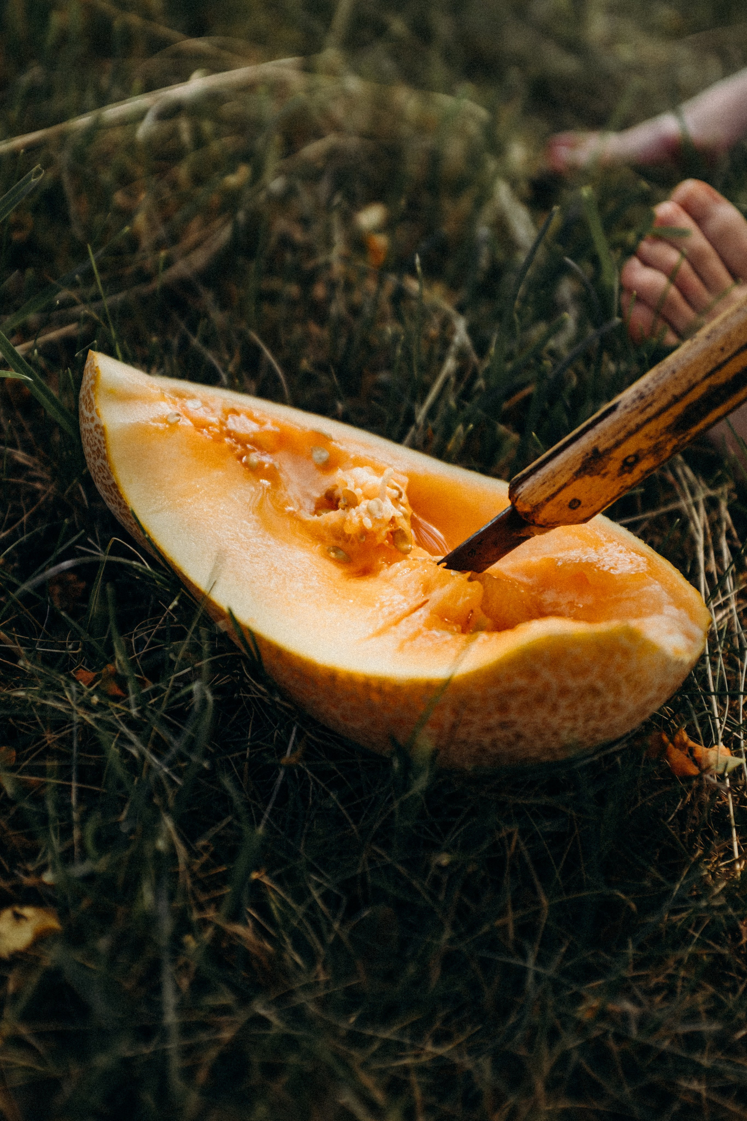 Армения. Фотограф Екатерина Катунова | Москва