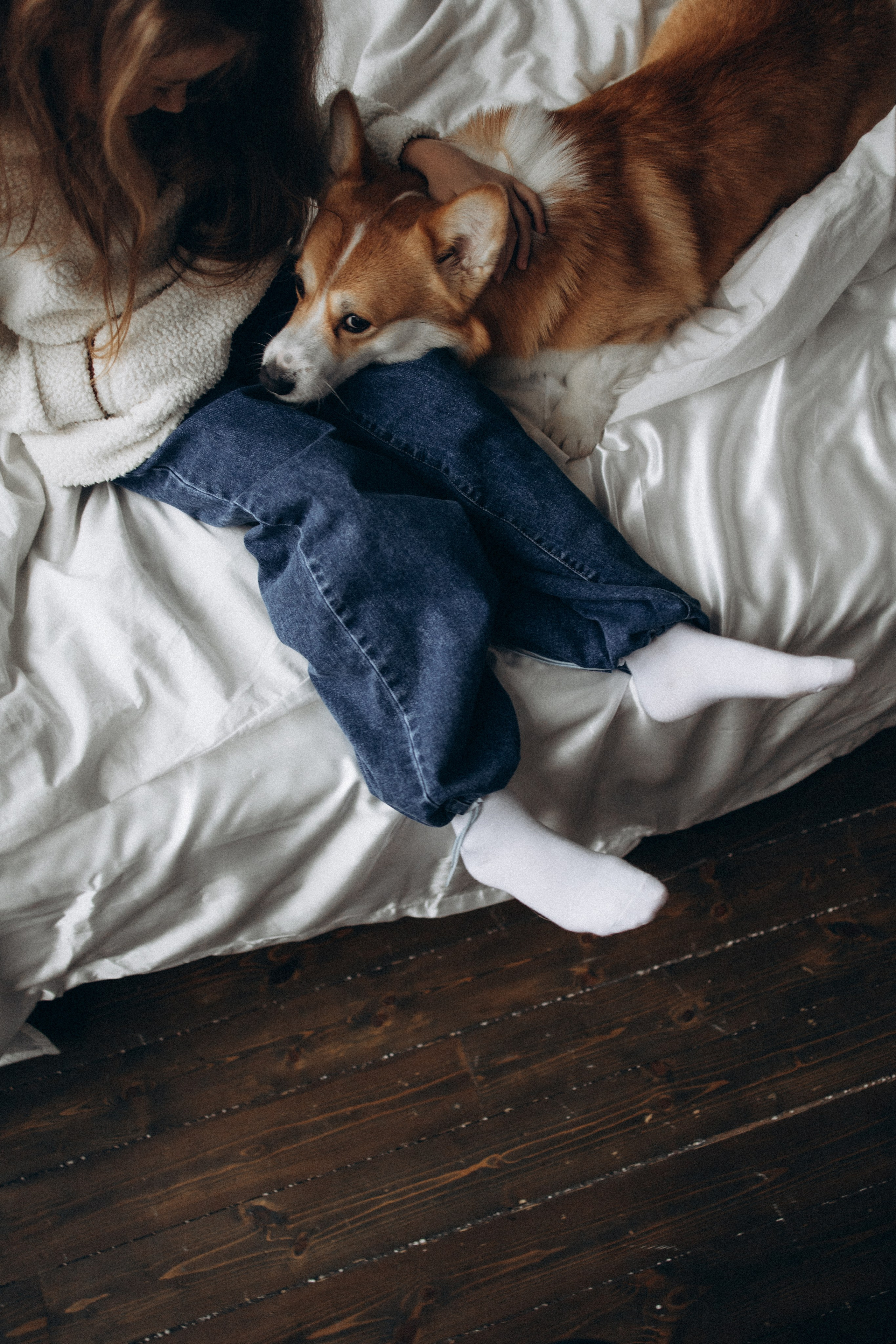 Зевс и его семья. Фотораф — анималист Мария Шистка