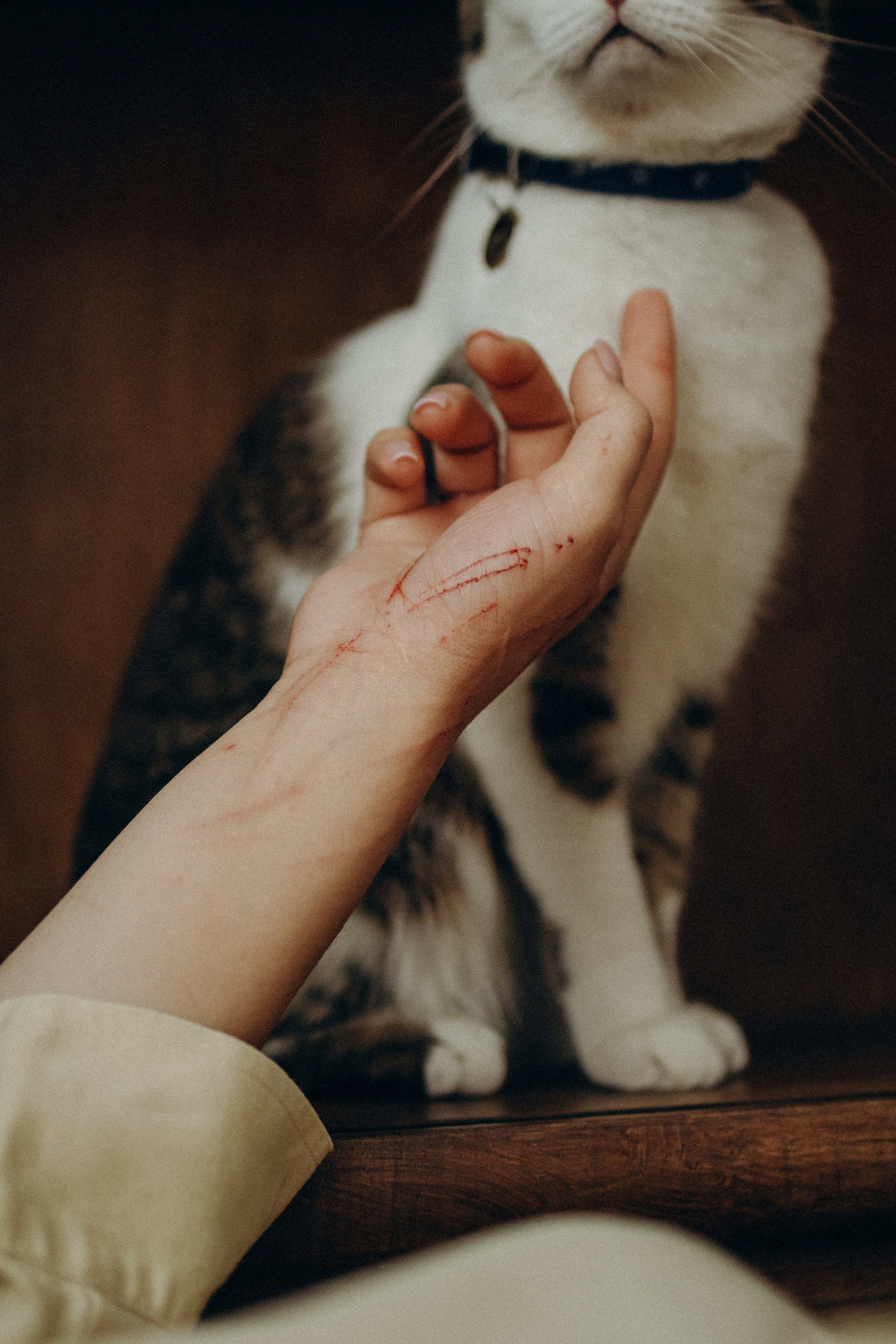 Ксюша и Яша. Фотораф — анималист Мария Шистка