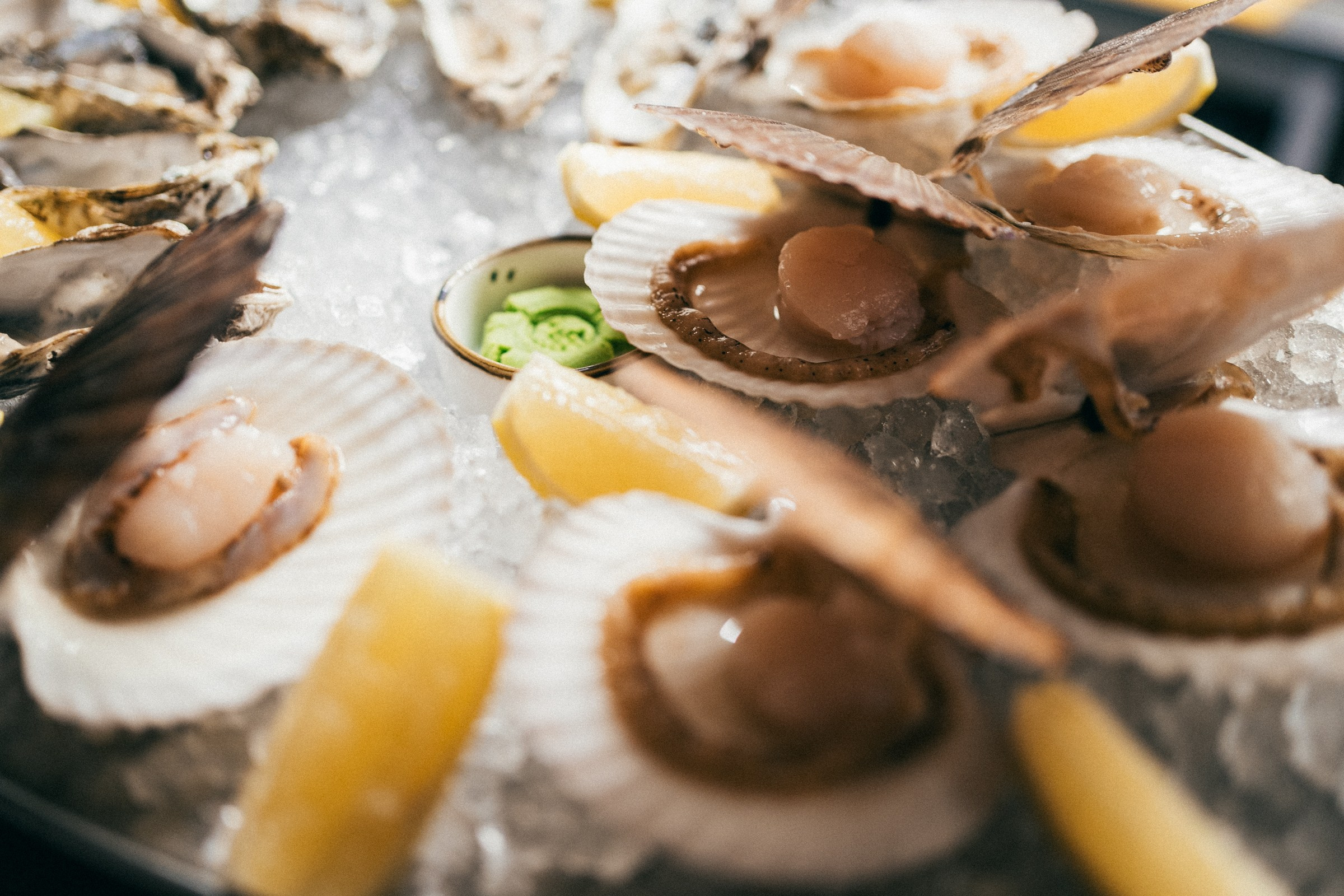 Port42 (29.09.23). Фотограф на любое событие в Кемерово