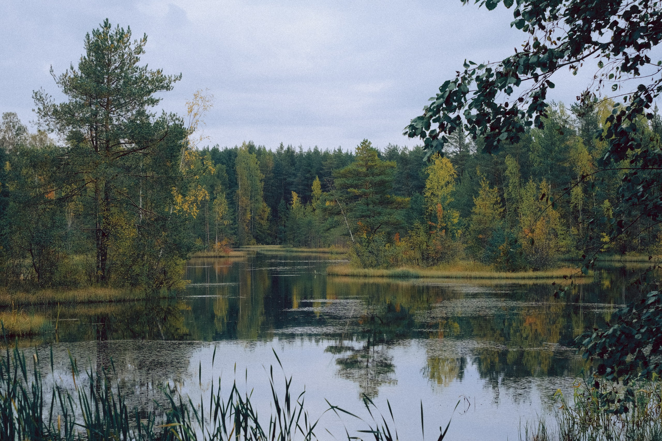Осеняя прогулка. Профессиональный фотограф, Санкт-Петербург — Виктория Богомолова