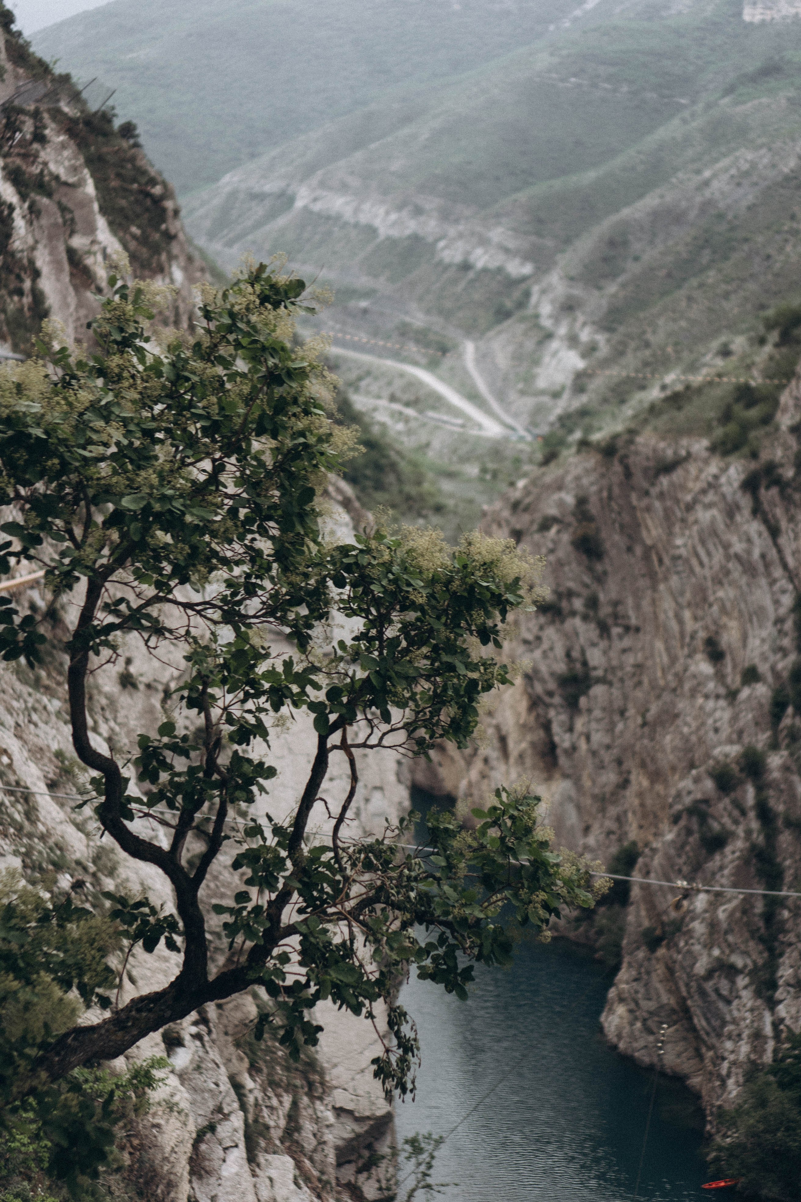 Кавказ. Профессиональный фотограф, Санкт-Петербург — Виктория Богомолова