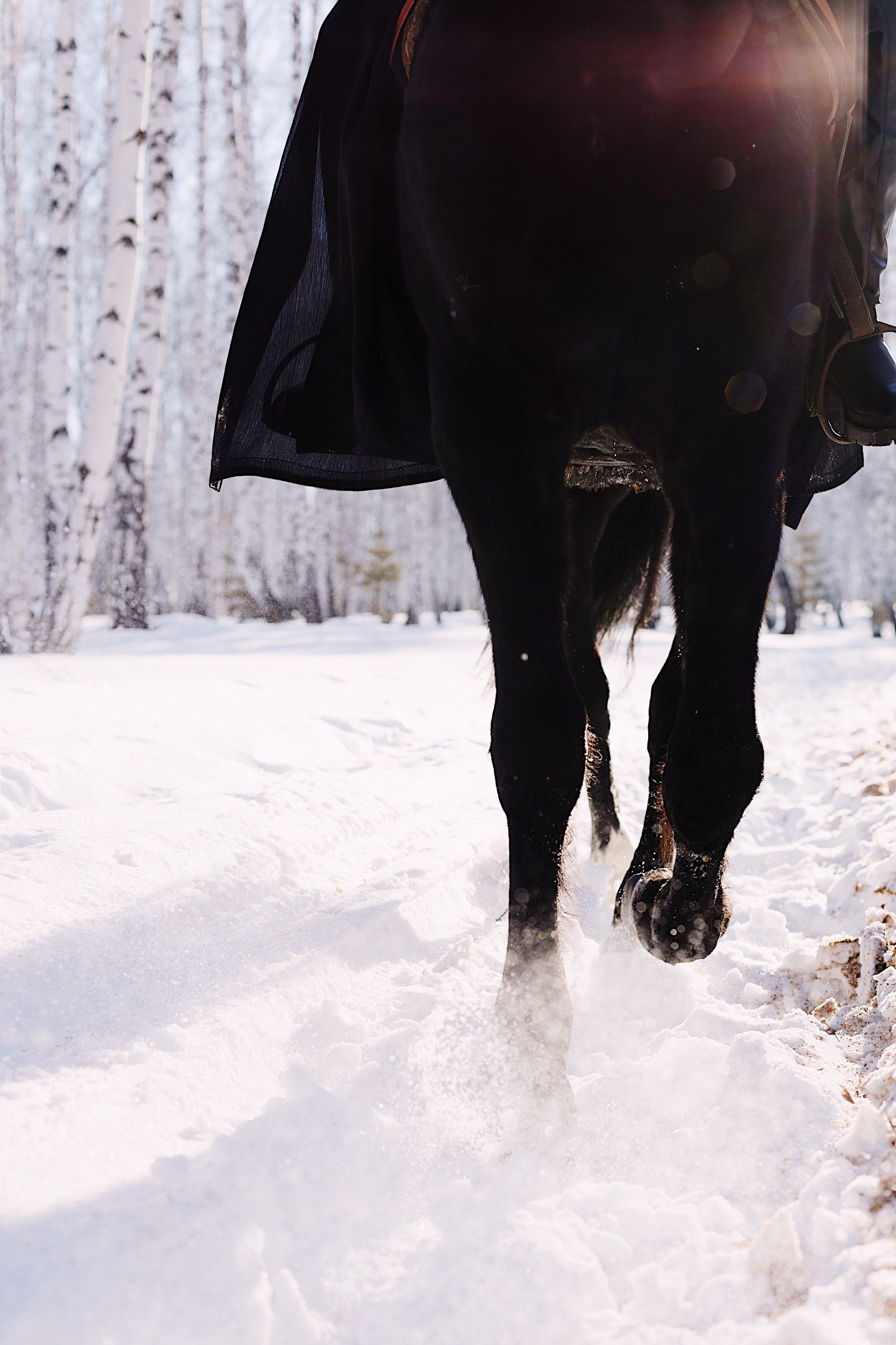 Царица. Фотограф Марсель Батыршин