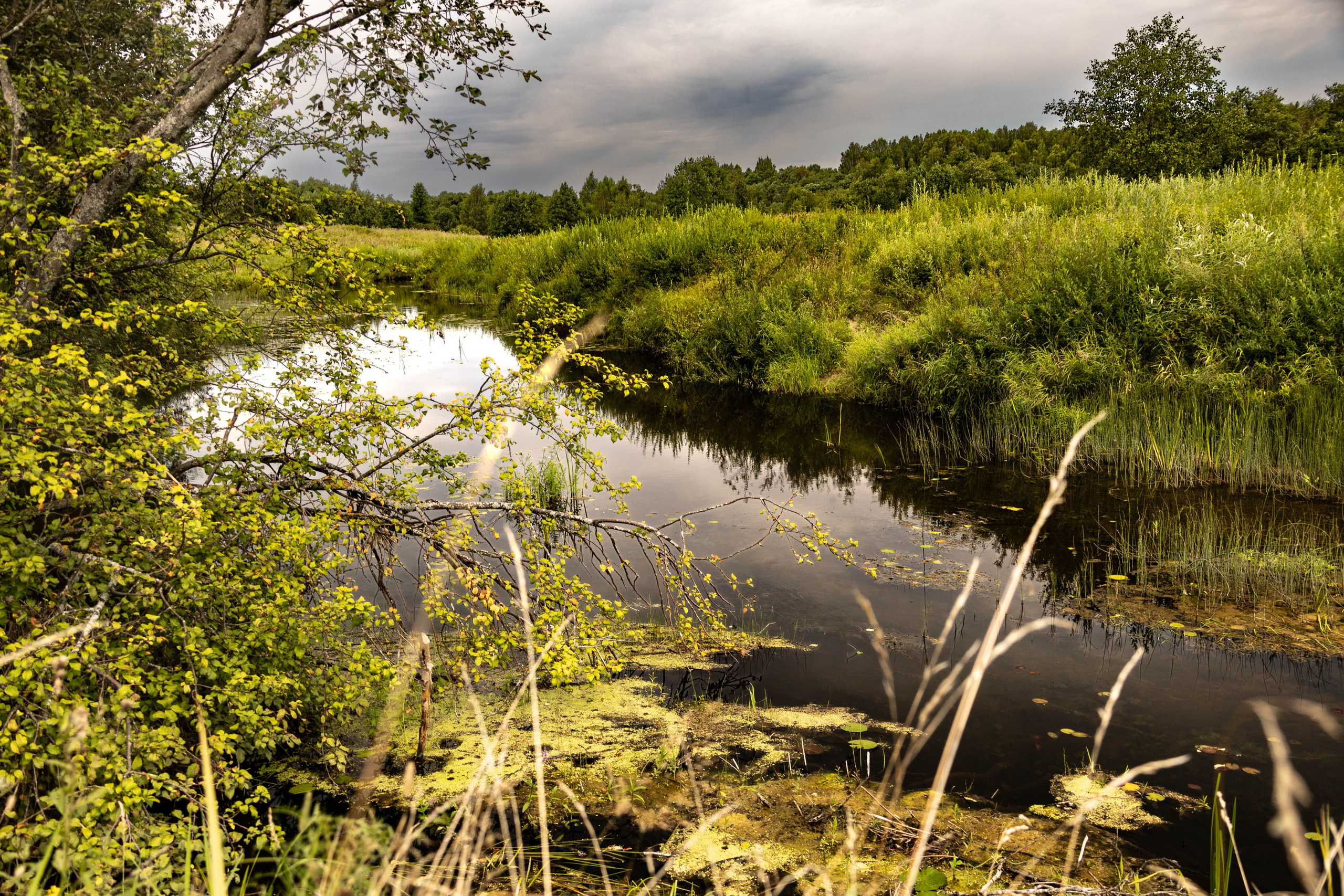 ПЛАНЕТА ЗЕМЛЯ (пейзаж). АЛЕКСЕЙ КОЛМАКОВ. Фотограф. Москва и Московская область