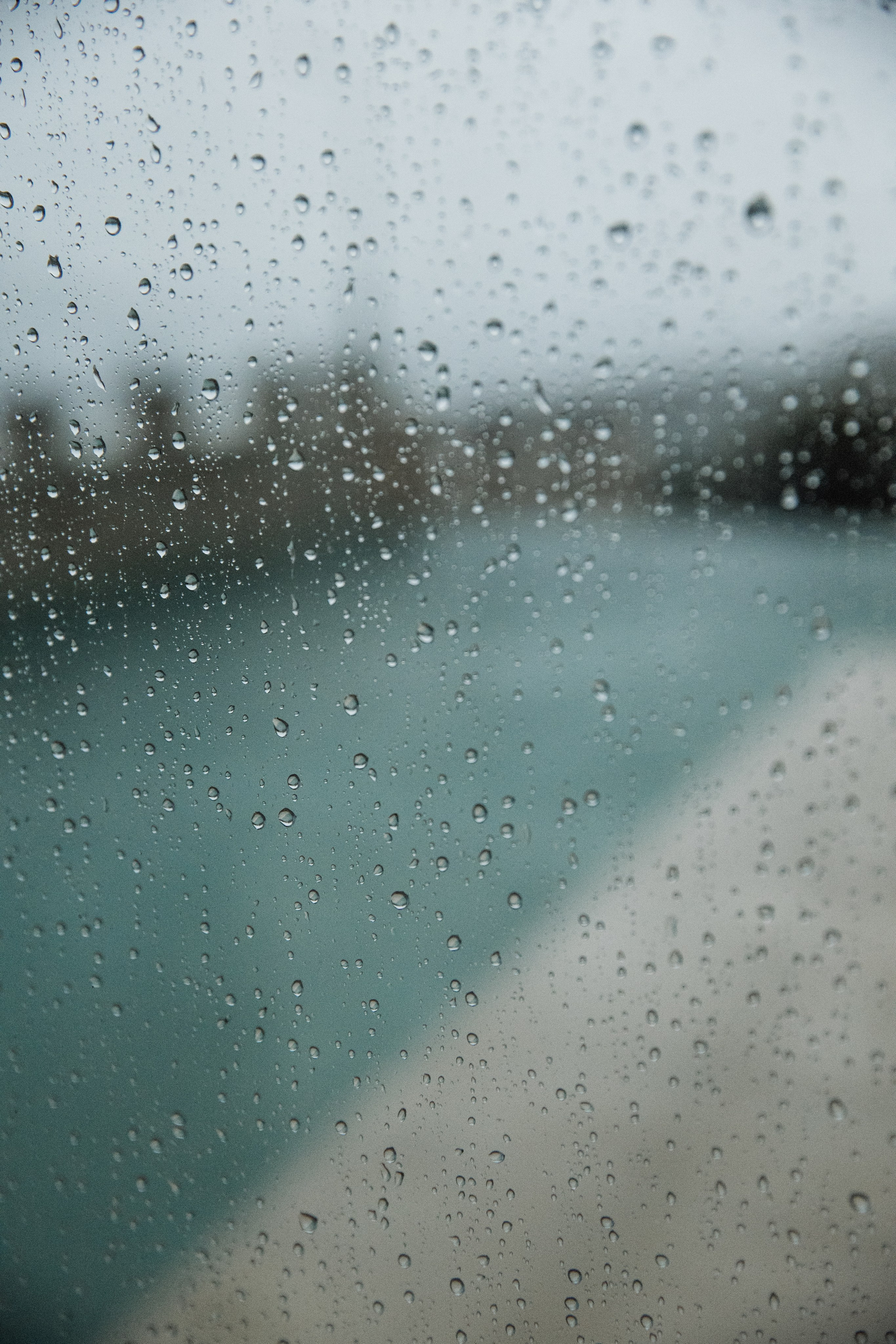 Свадебный фотограф