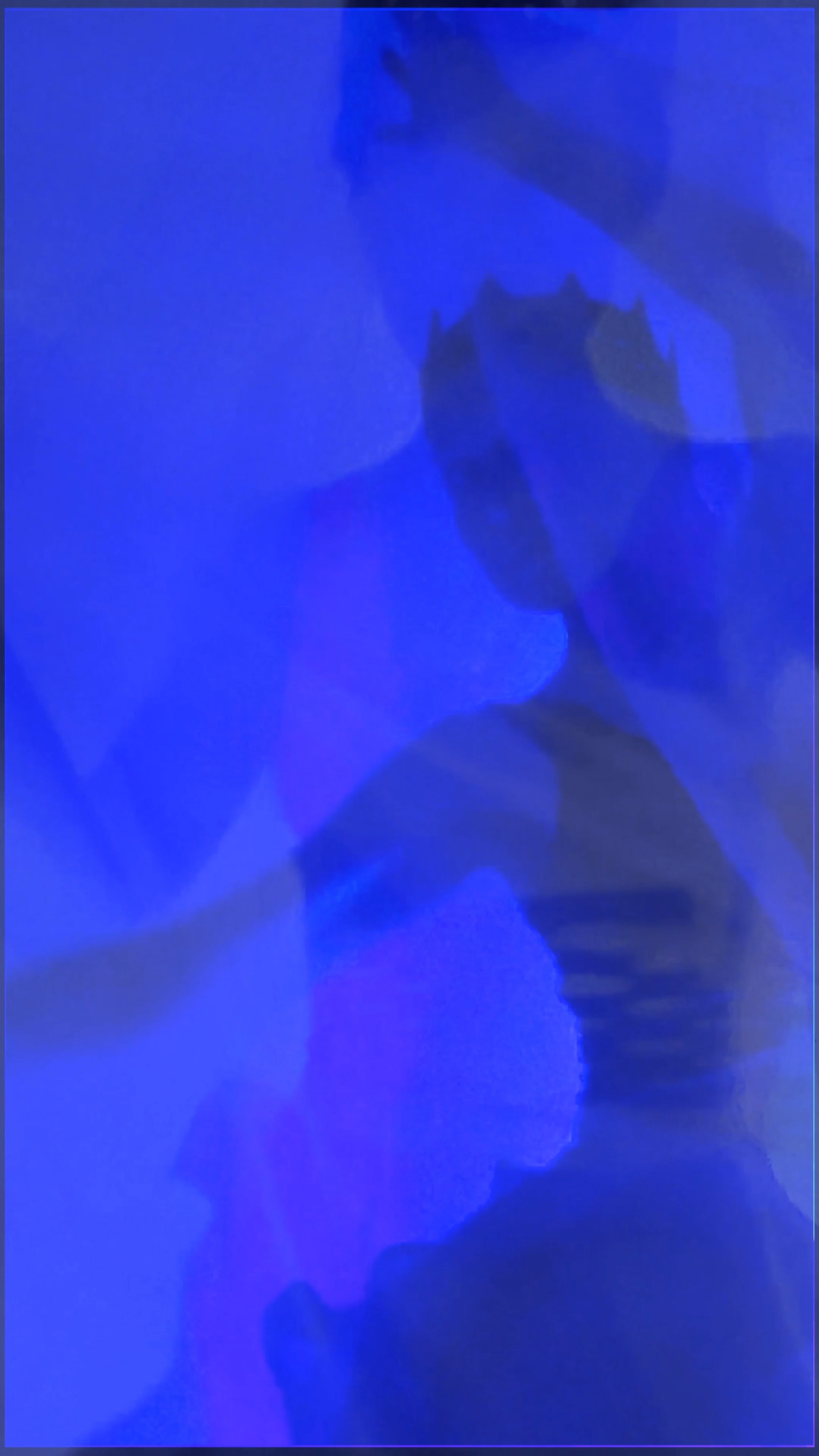 THE SAPPHIRE VEIL. Exclusive Closing Gifts for Top Realtors | Custom House Portraits by Yulia Yurchevskaya