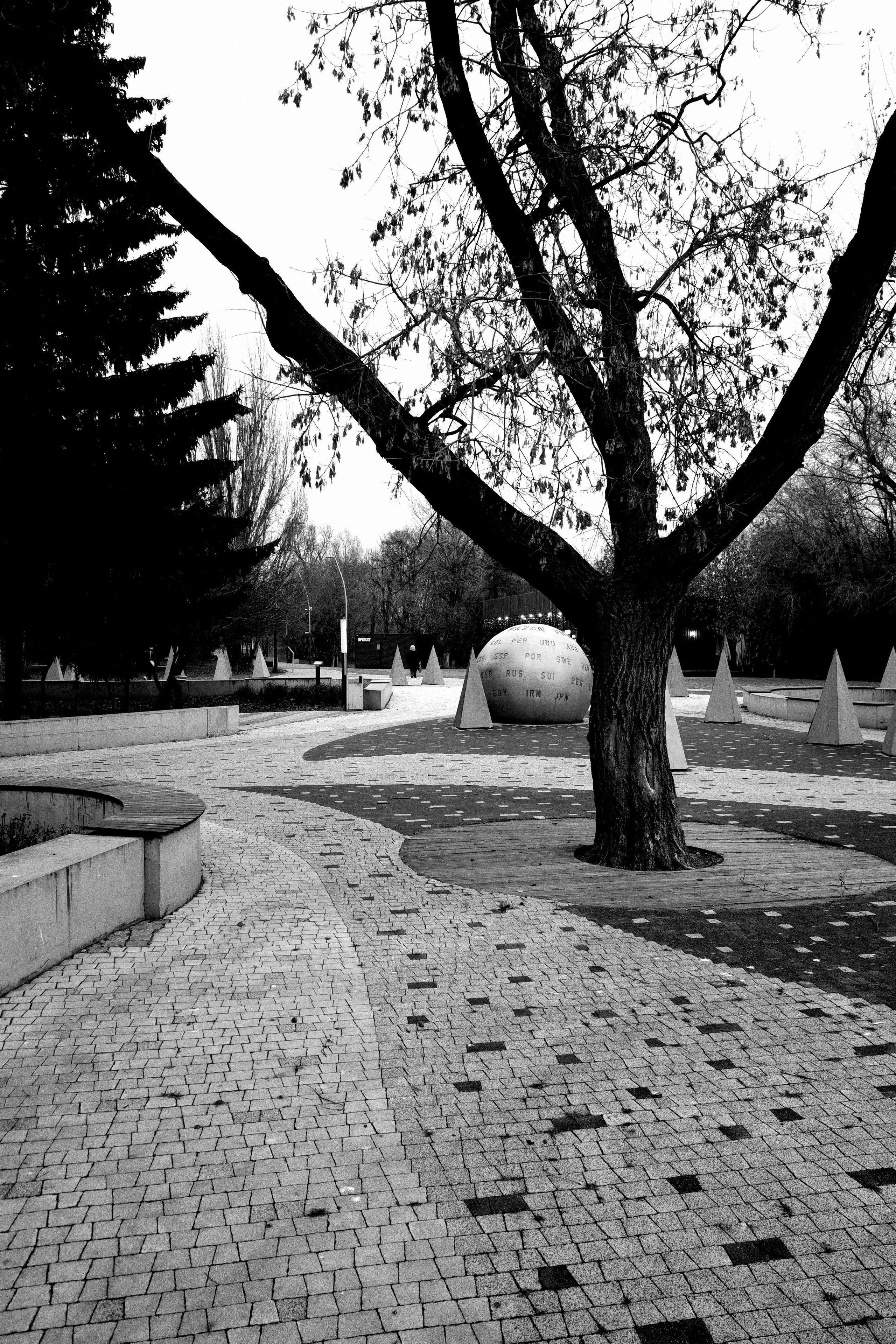 Парковая геометрия