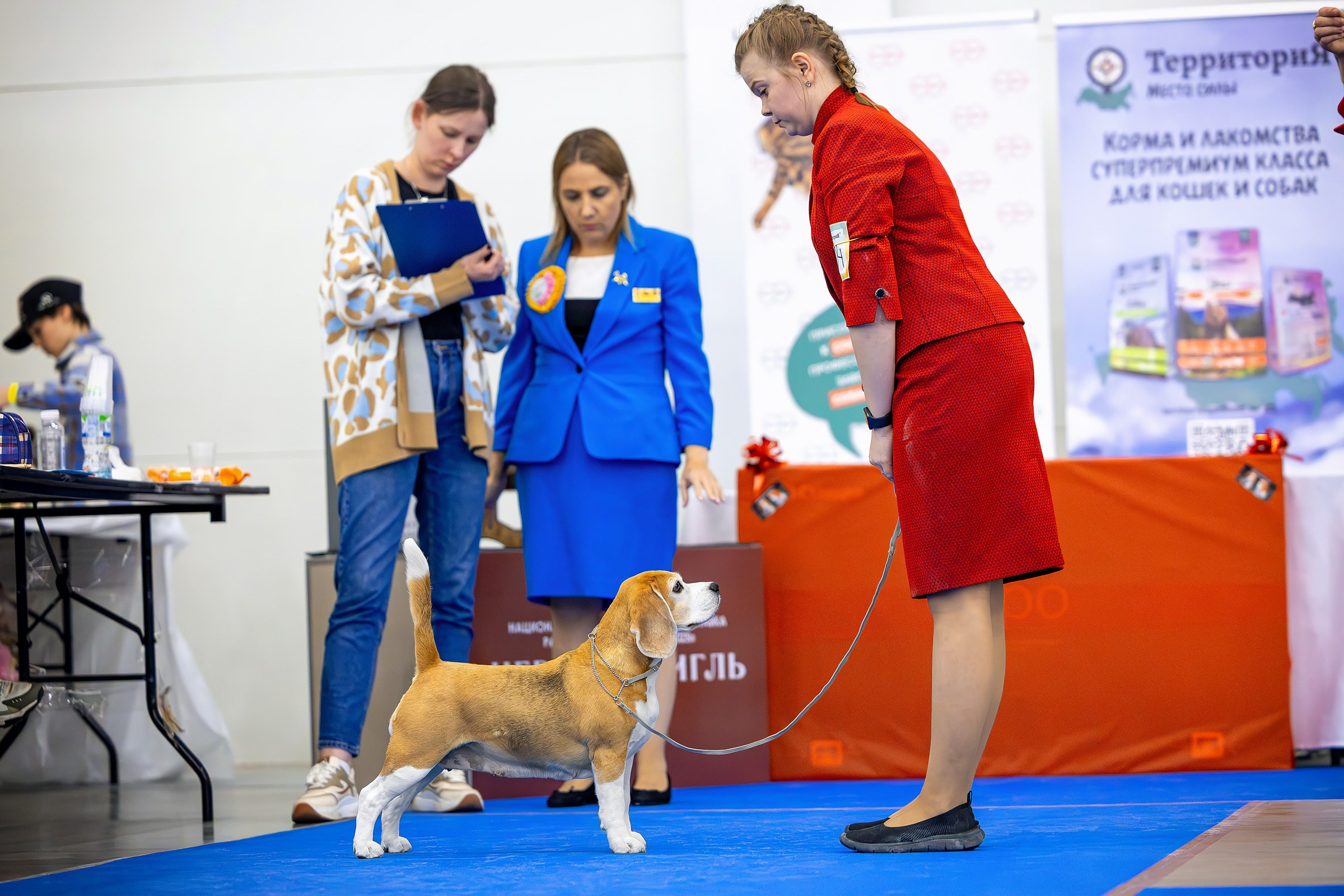 26–27 апреля 2025, Выставка РКФ, г. Санкт-Петербург. Htykk_photo
