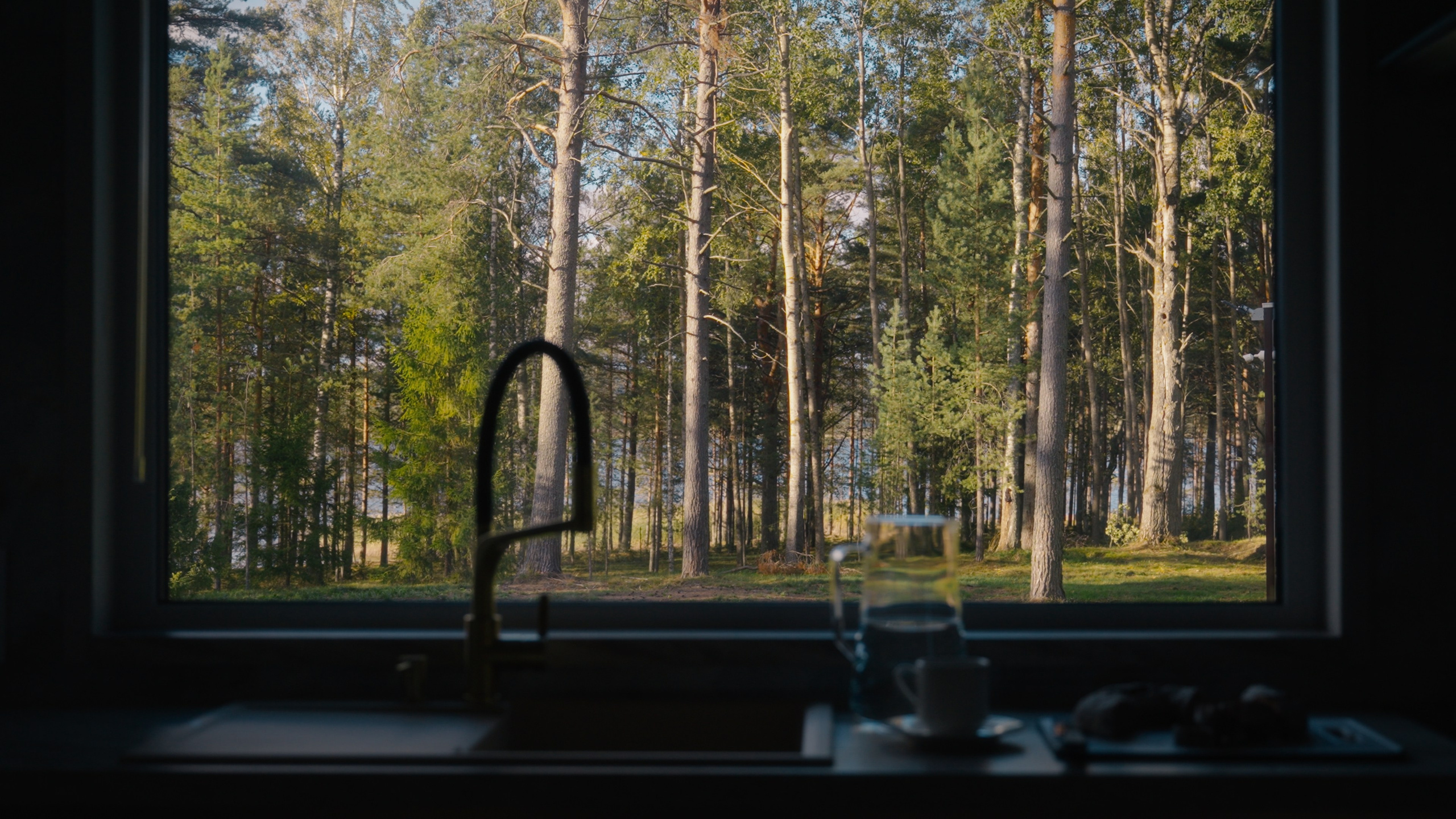 Тихолесье — Ваш дом и уют (promo). Цветокоррекция видео онлайн Иван Сержанов