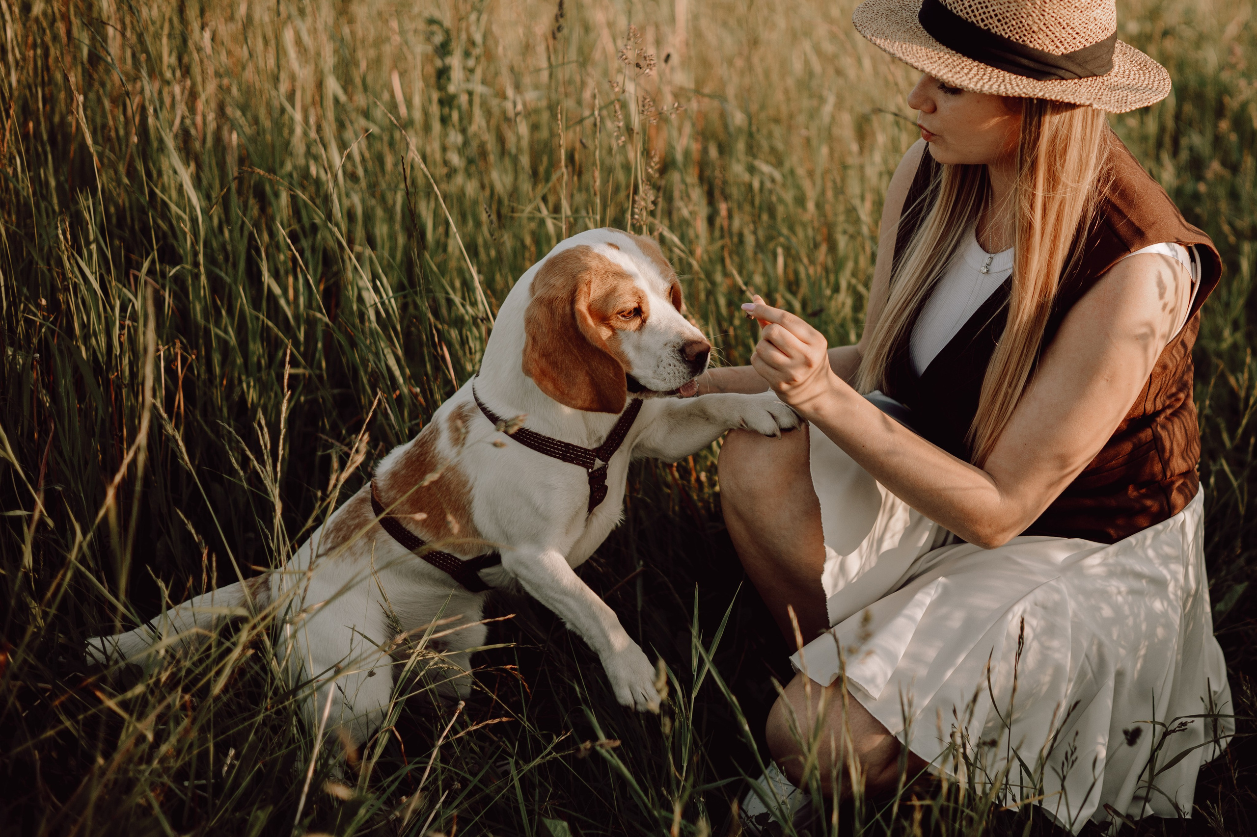 Мартин и его семья. Фотограф — анималист •love-story•|Санкт-Петербург