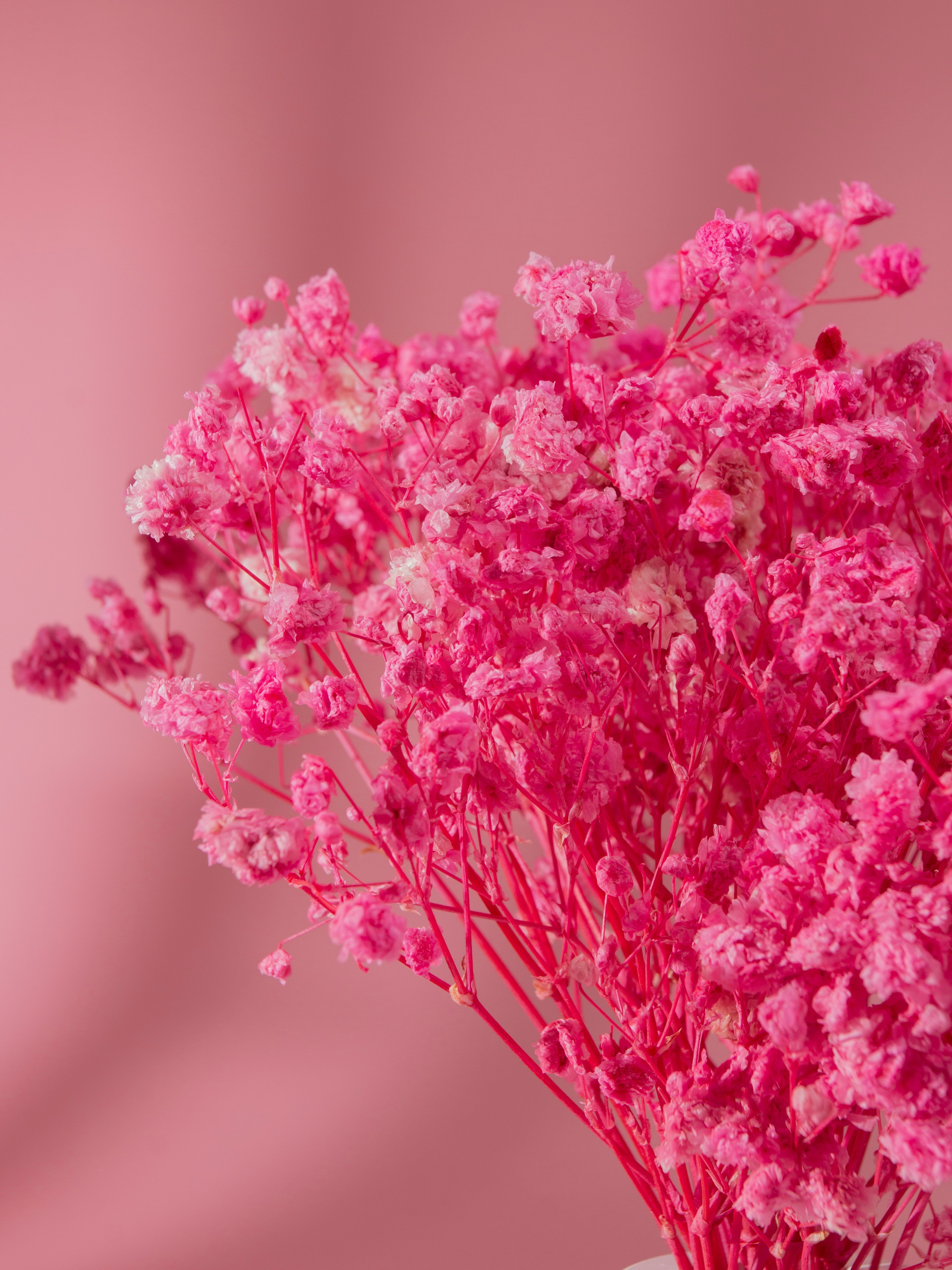 Наборы COZY WARM. Фотограф Злата Спицына