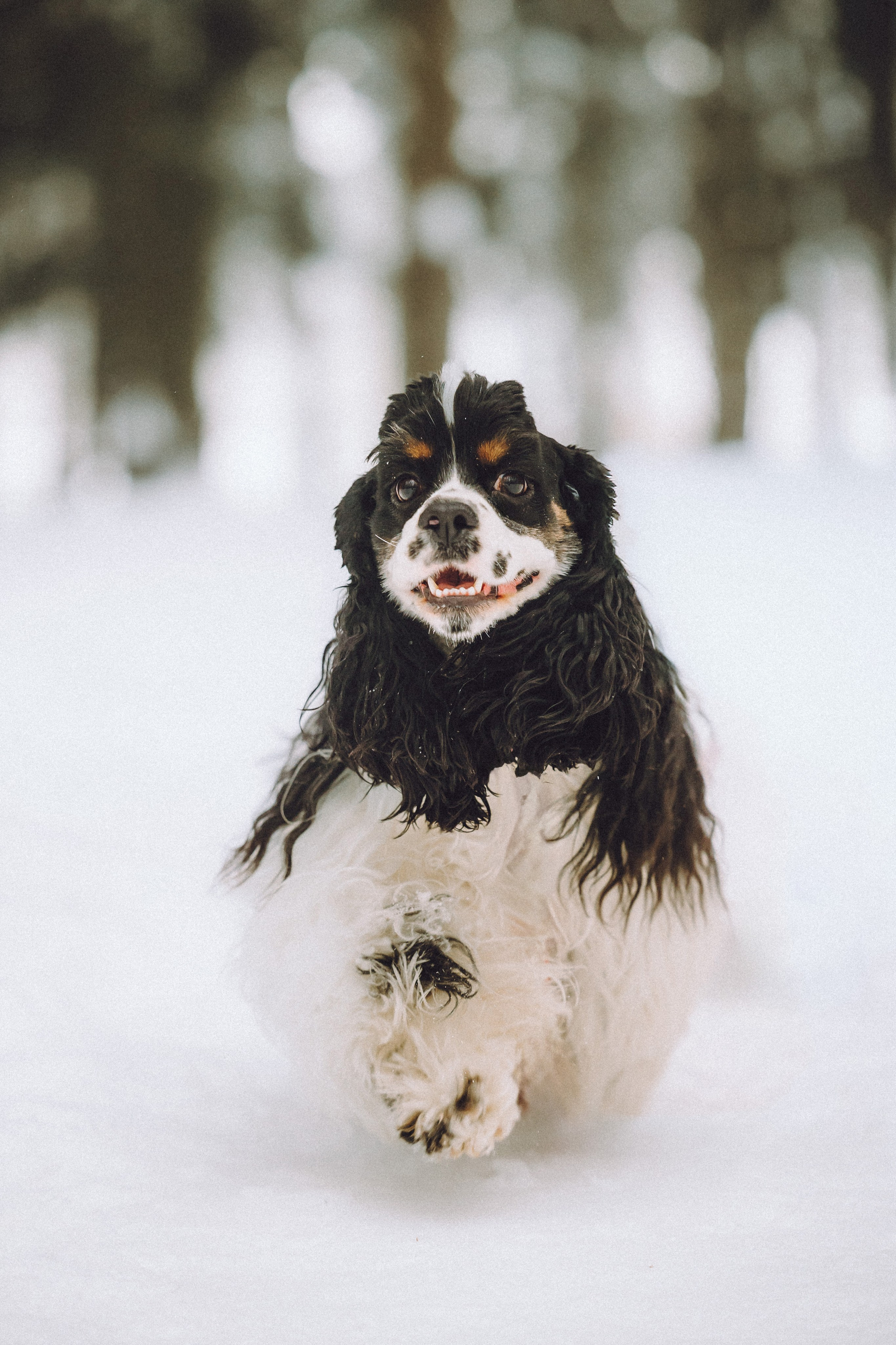 Ольга и Патрик