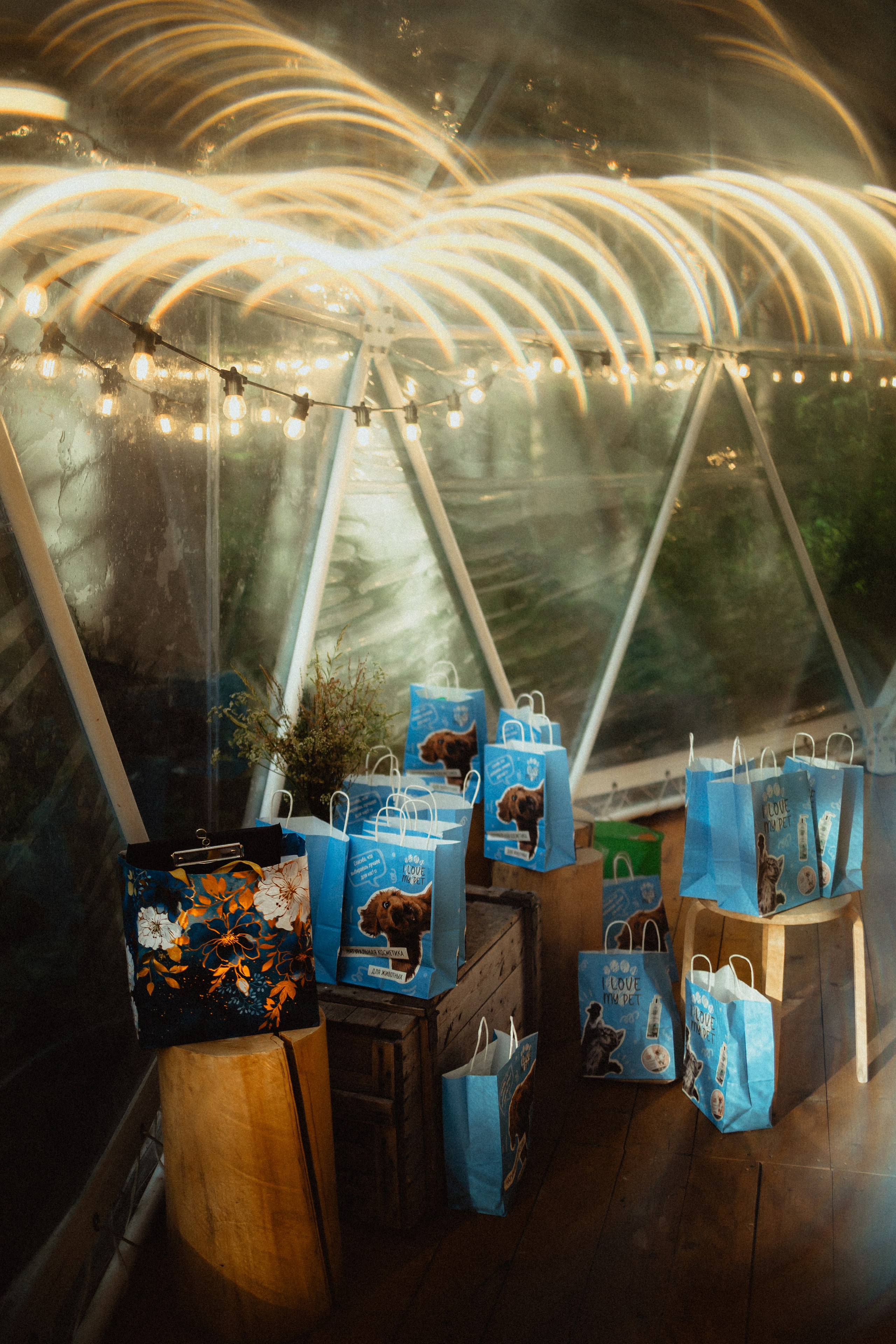 Выездной дог-тренинг от школы «Шерсть имею»