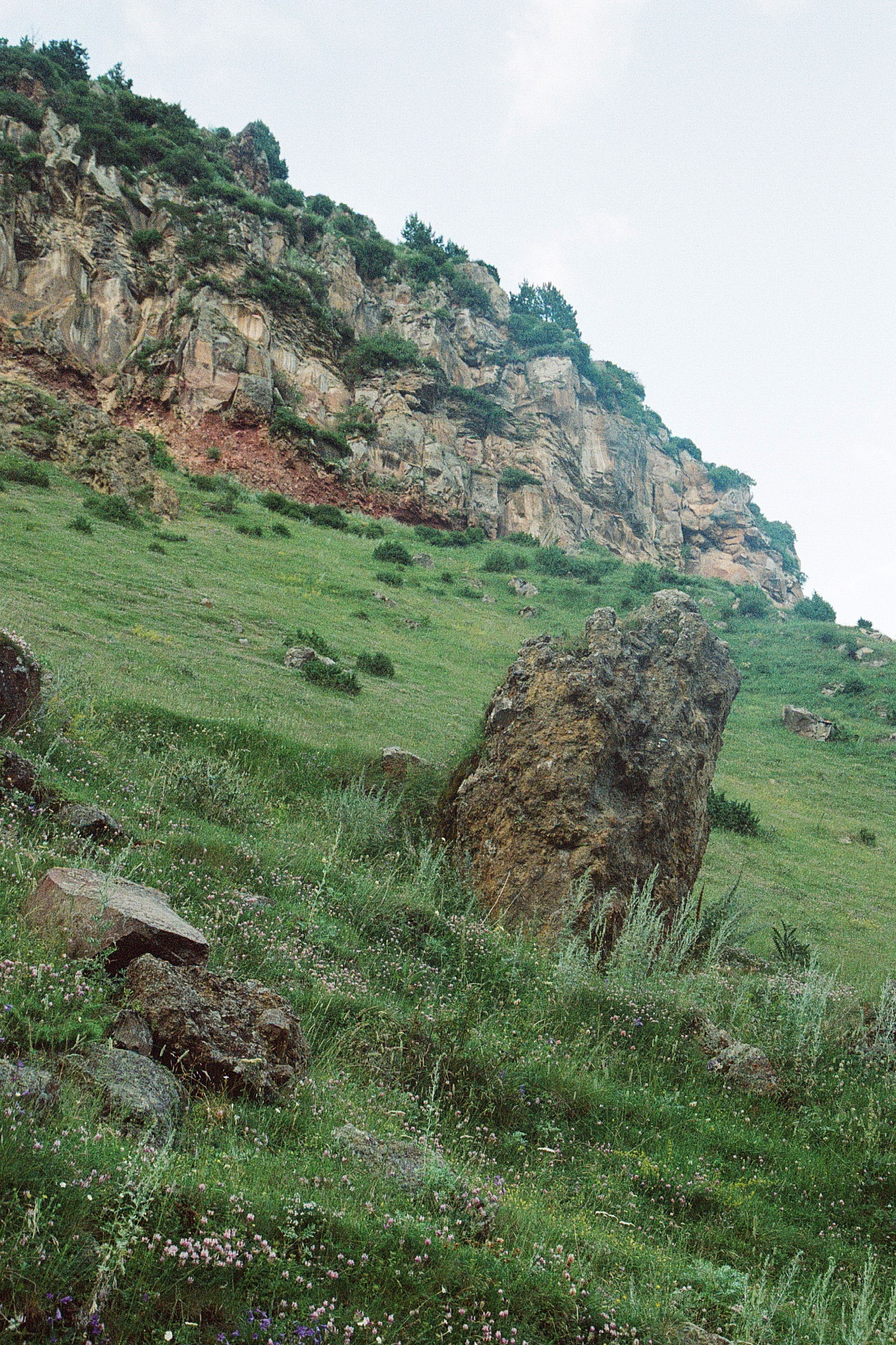 ГРУЗИЯ. ПРИРОДА.25. Профессиональный фотограф Федотова Арина